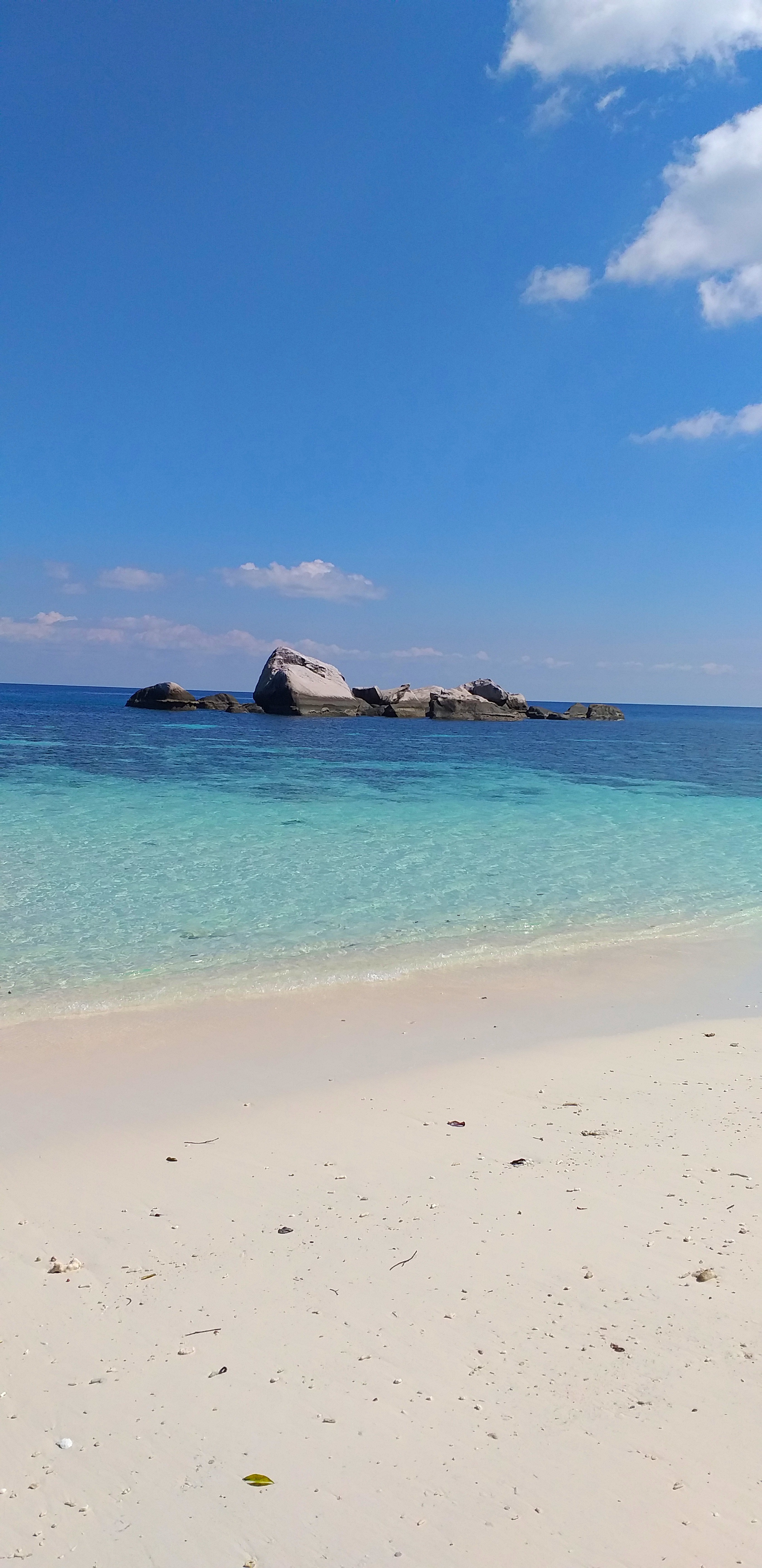 Трекинг В дебрях Малайзии (10/53)