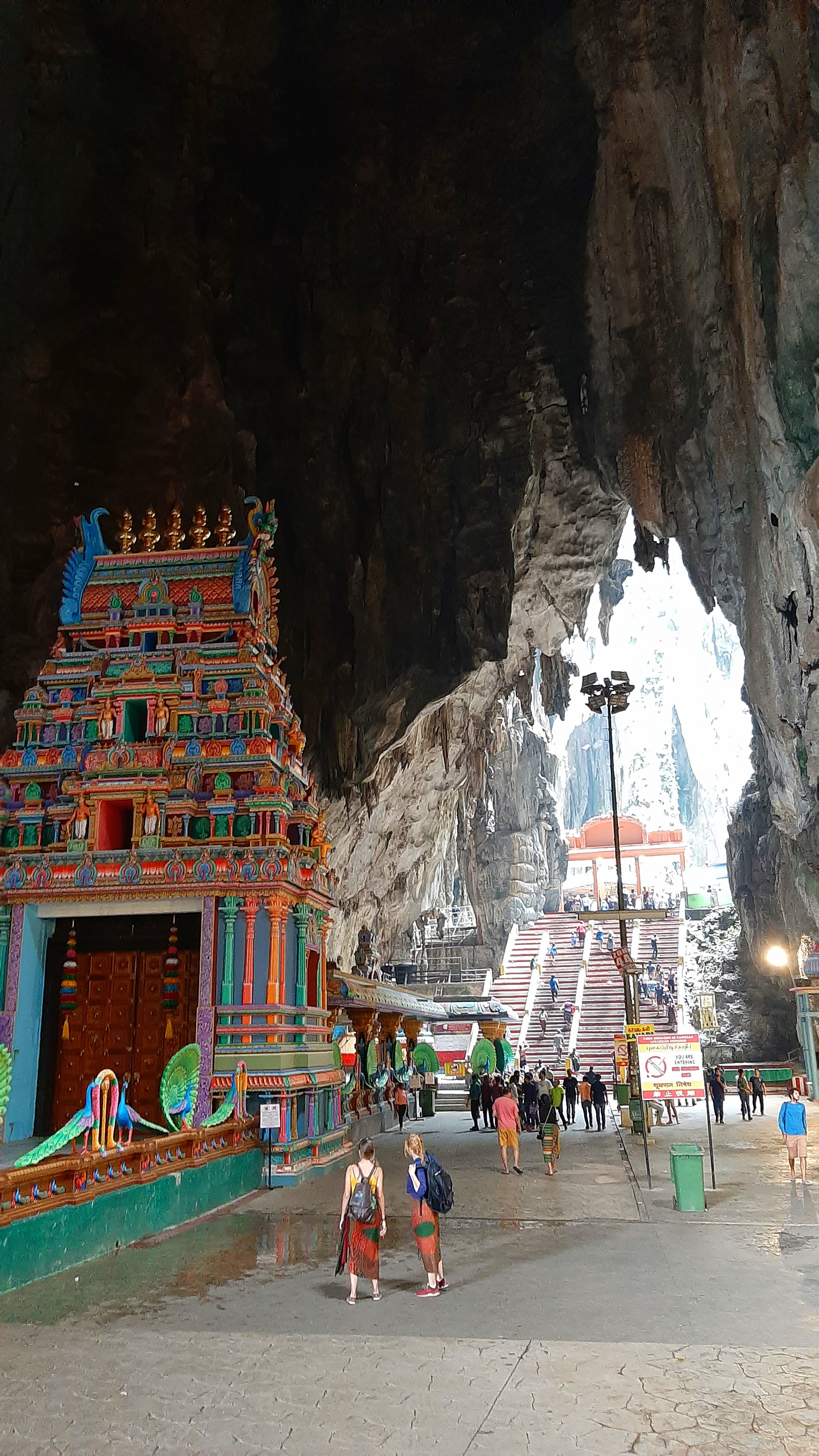 Трекинг В дебрях Малайзии (11/53)