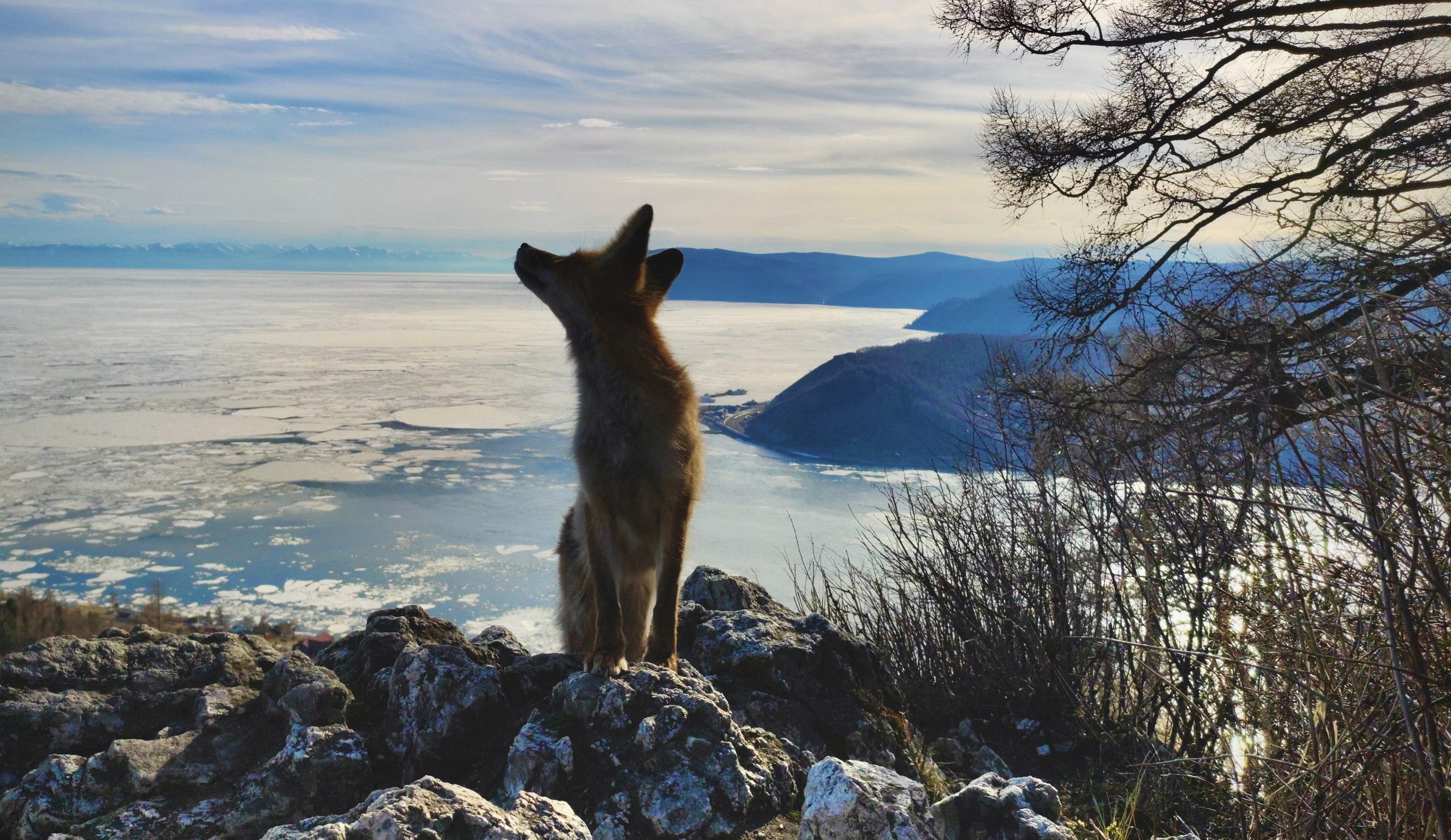 п.Листвянка - рождение Ангары и ледовые скульптуры (12/12)
