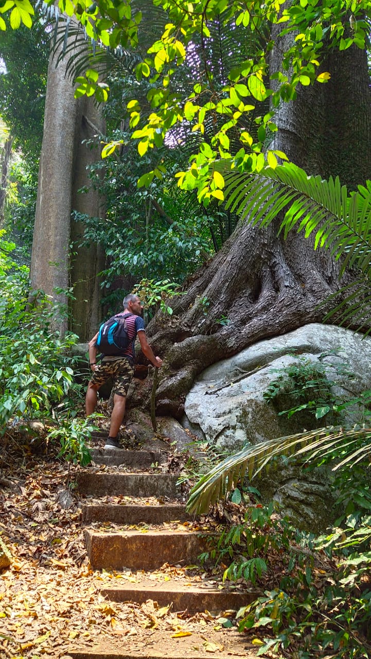 Трекинг В дебрях Малайзии (7/53)