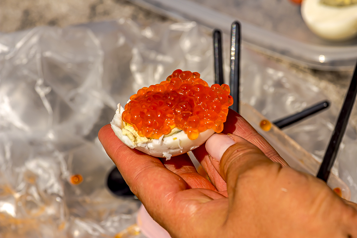 Сахалин, Итуруп, Шикотан и Кунашир с вулканом Тятя. Путешествие на другую планету (145/271)