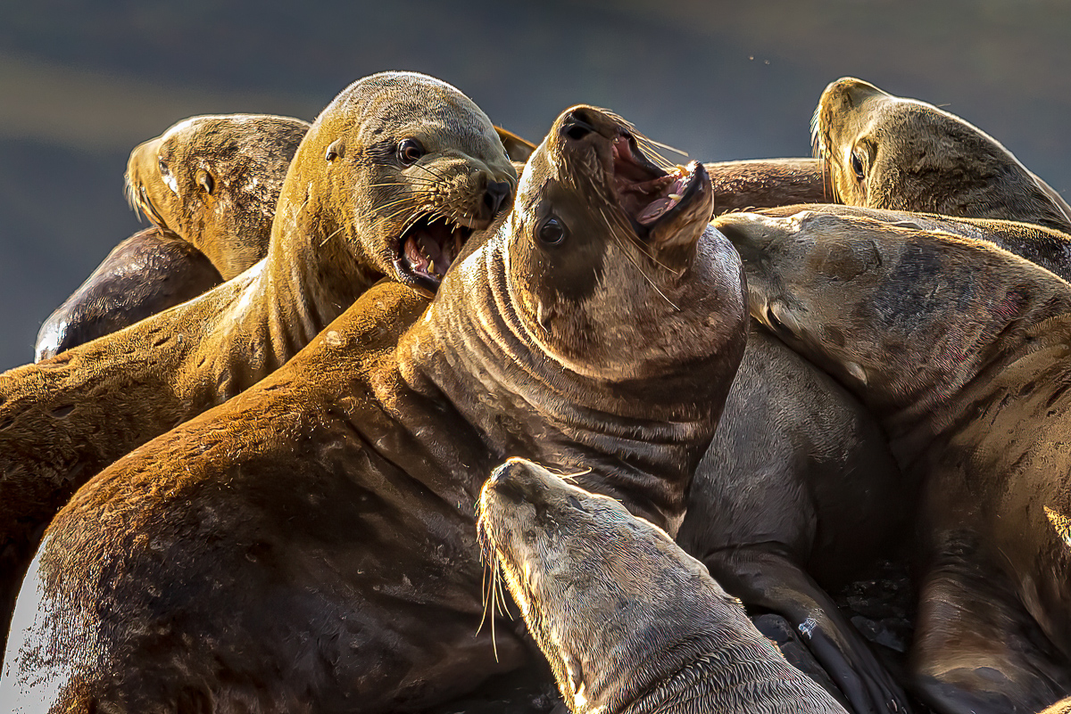 Волшебный Итуруп. Путешествие на другую планету (75/120)