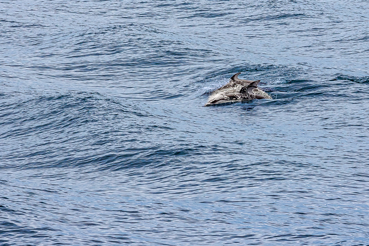 Волшебный Итуруп. Путешествие на другую планету (71/120)