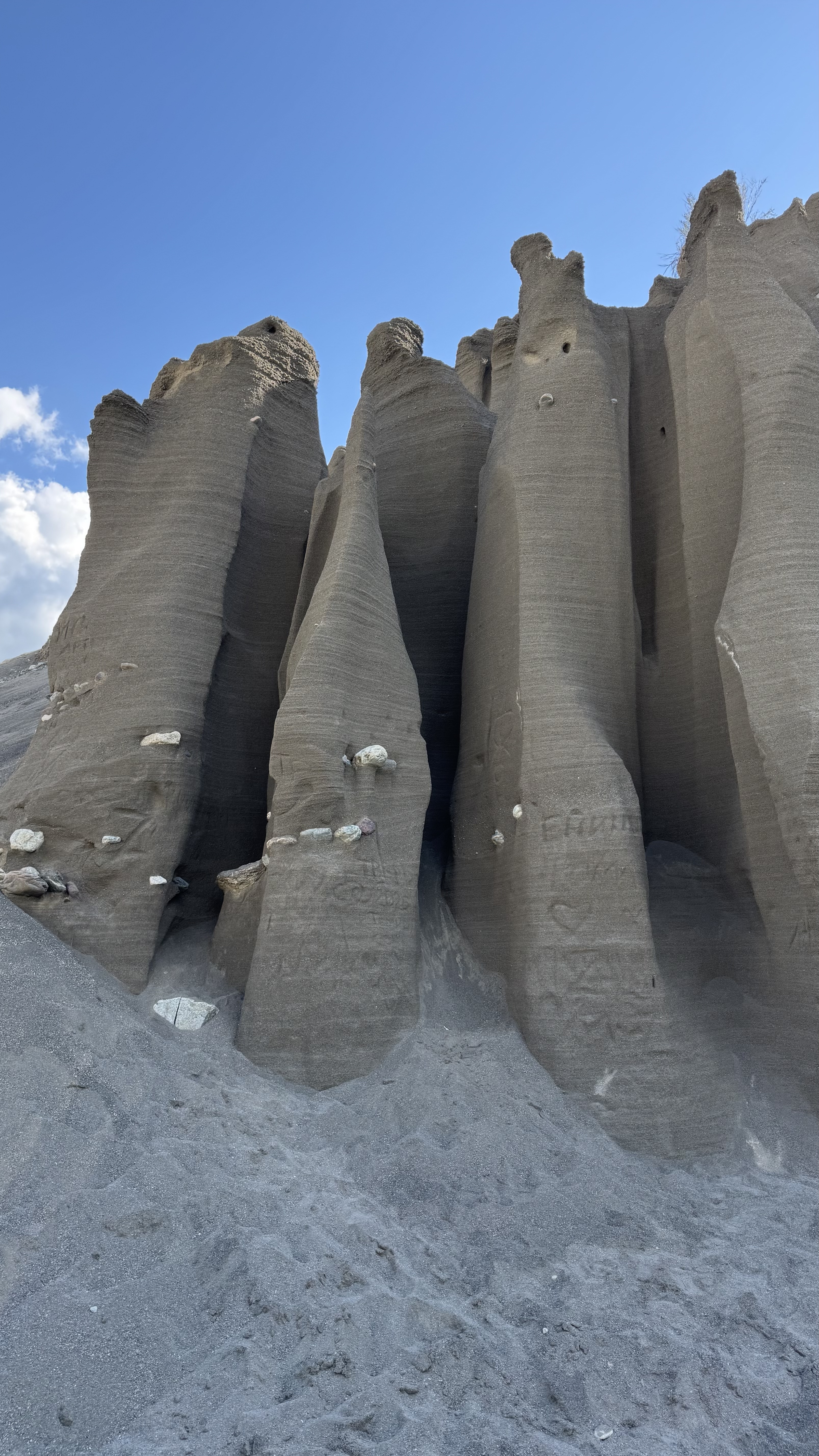 По следам алтая (34/42)