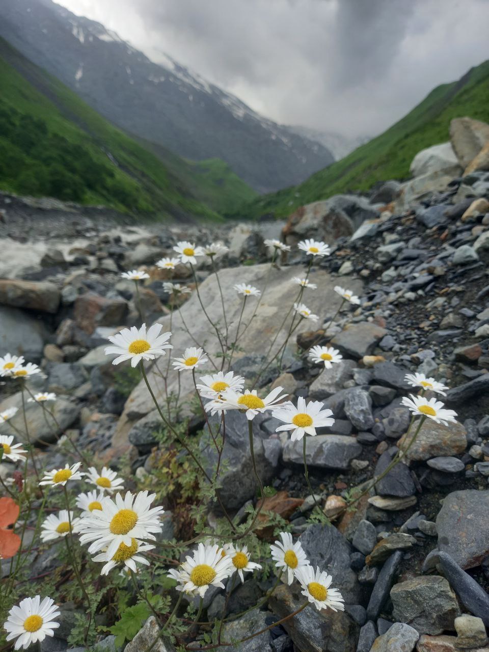 Восхождение на Казбек с Севера (43/47)