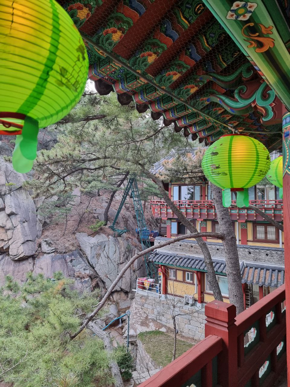 Южная Корея на майские. Путешествие во время цветения роз и азалий (7/33)