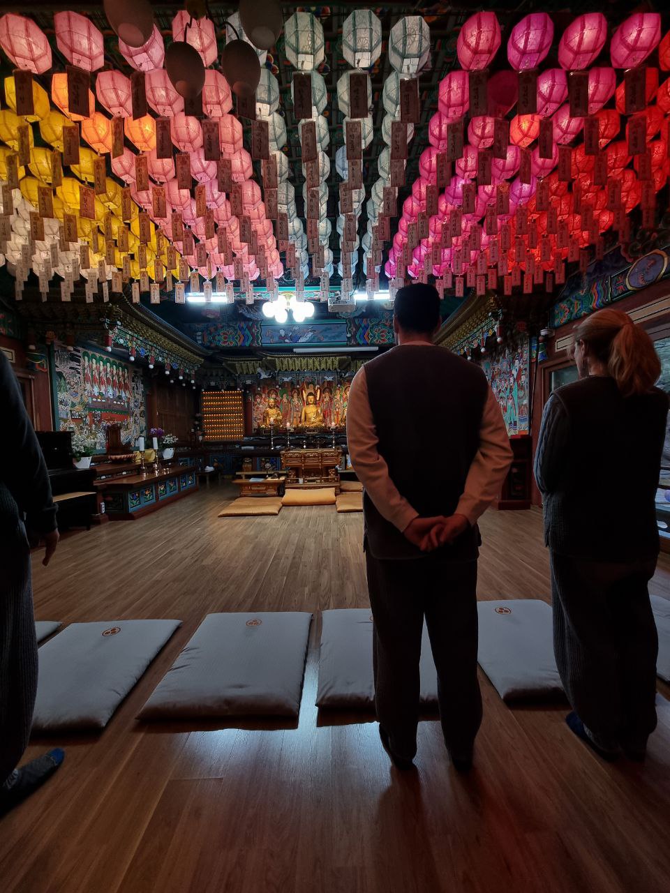 Южная Корея на майские. Путешествие во время цветения роз и азалий (6/33)