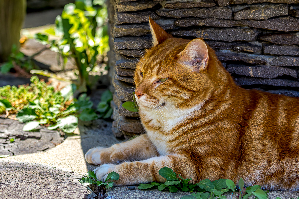 Перезагрузка на Итурупе. Путешествие на другую планету (86/171)