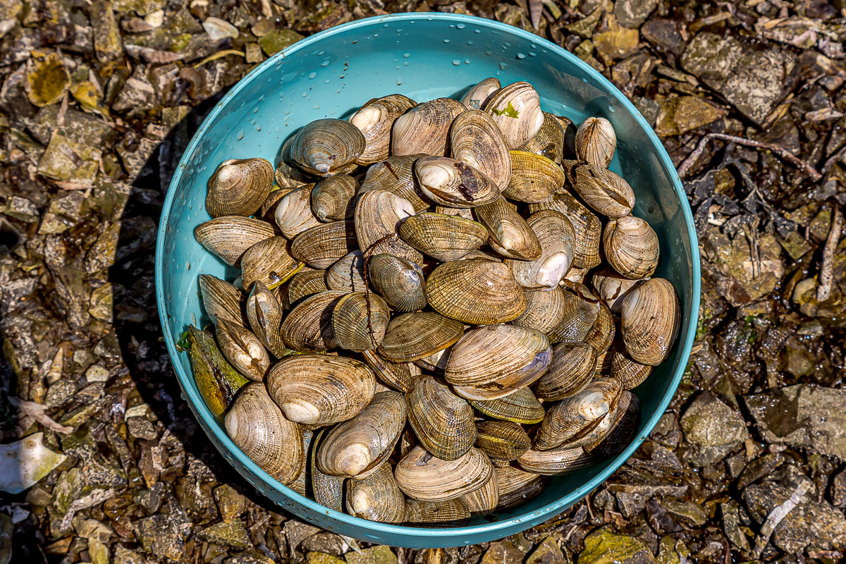 Сахалин, Итуруп, Шикотан и Кунашир с вулканом Тятя. Путешествие на другую планету (157/271)
