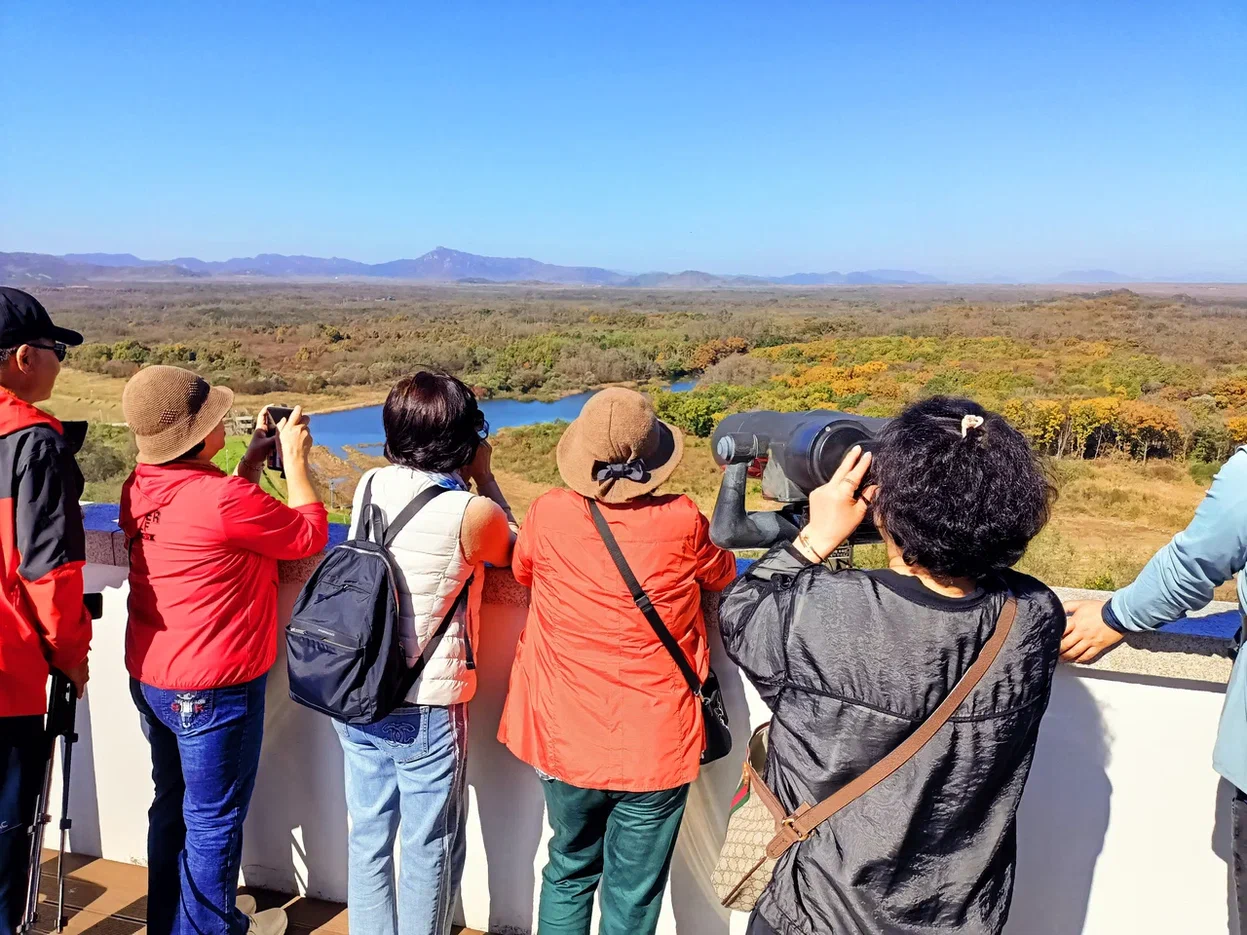 Южная Корея на майские. Путешествие во время цветения роз и азалий (11/33)