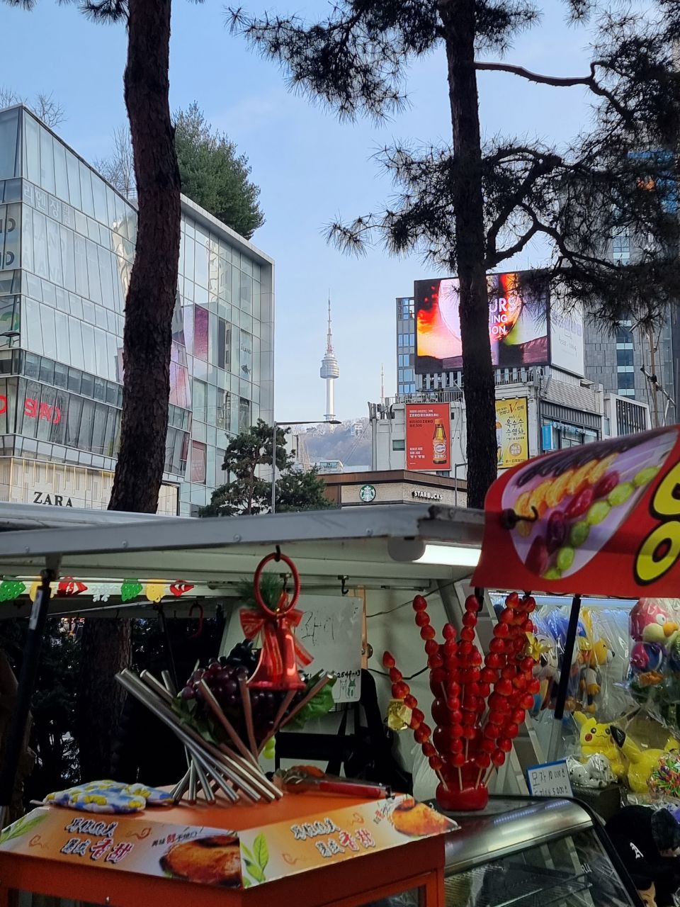 Южная Корея на майские. Путешествие во время цветения роз и азалий (31/33)