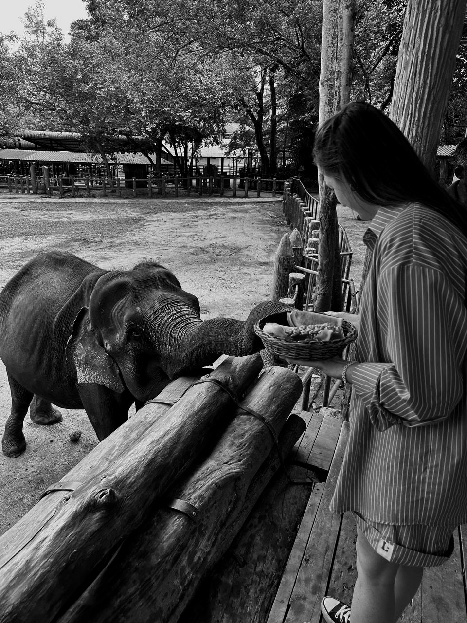 Маленький рай Шри-Ланки