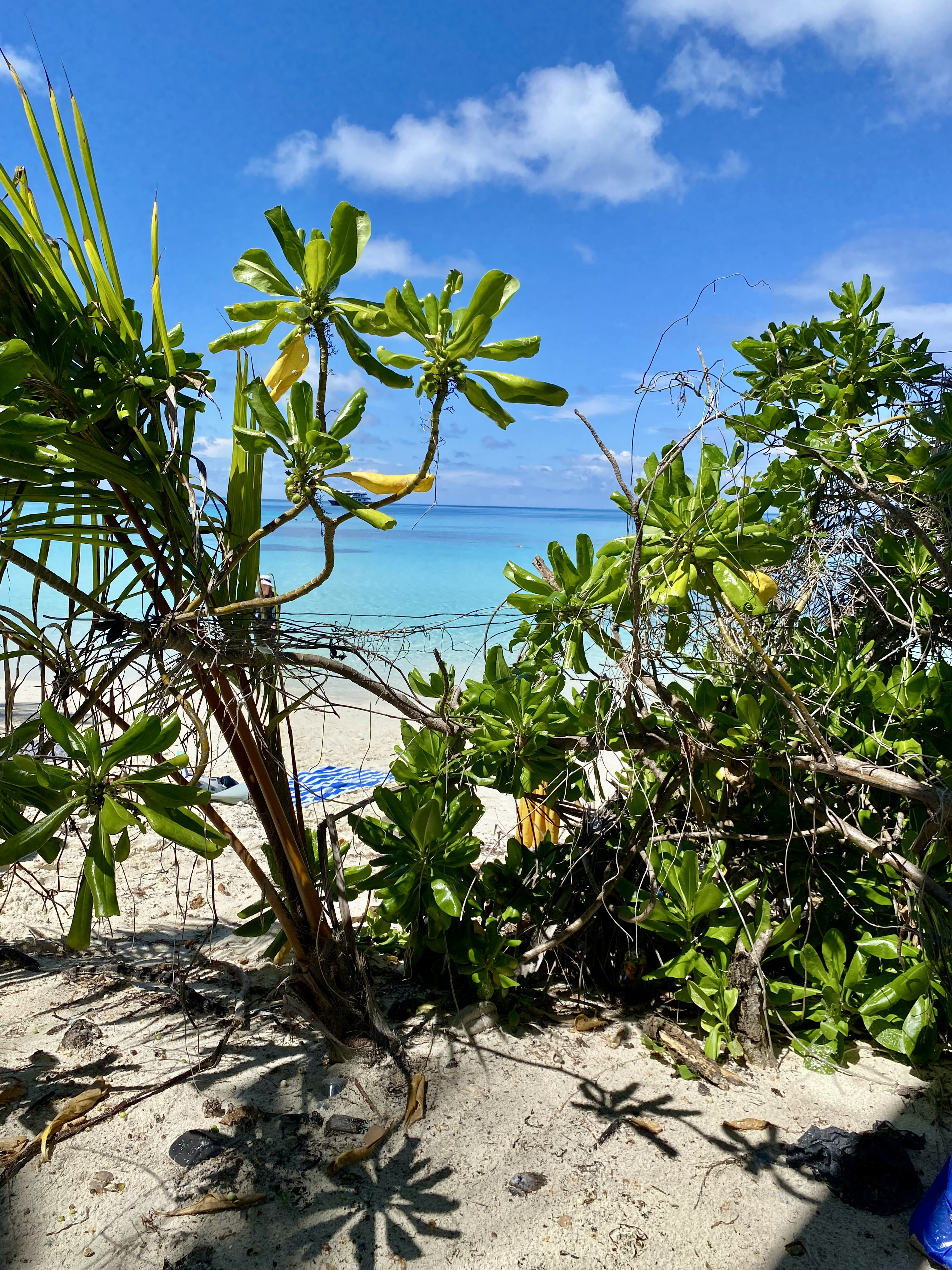 Мальдивы с психологом для обретения душевного равновесия (25/64)
