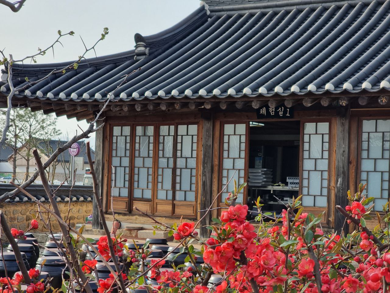 Южная Корея на майские. Путешествие во время цветения роз и азалий (18/33)