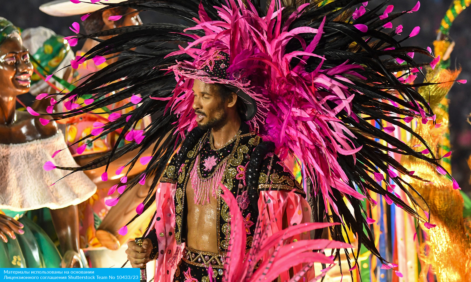 Карнавал в Бразилии 2026 (21/23)