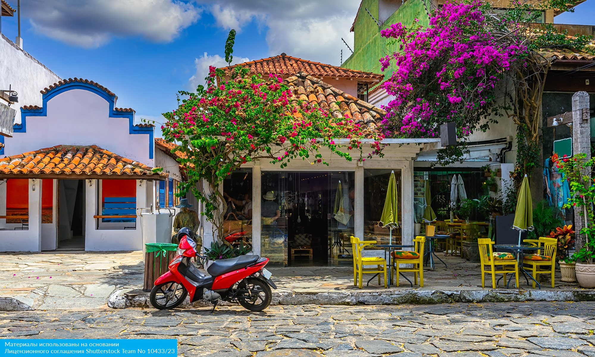 Карнавал в Бразилии 2026 (14/23)