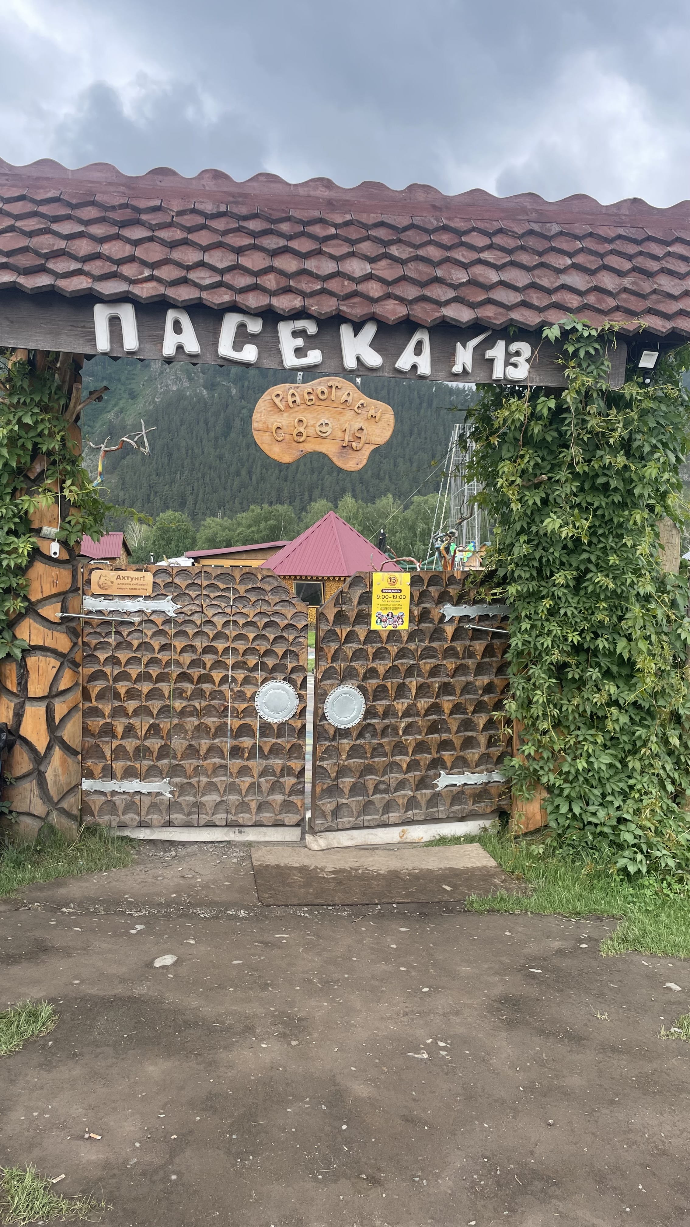 По следам алтая (31/42)