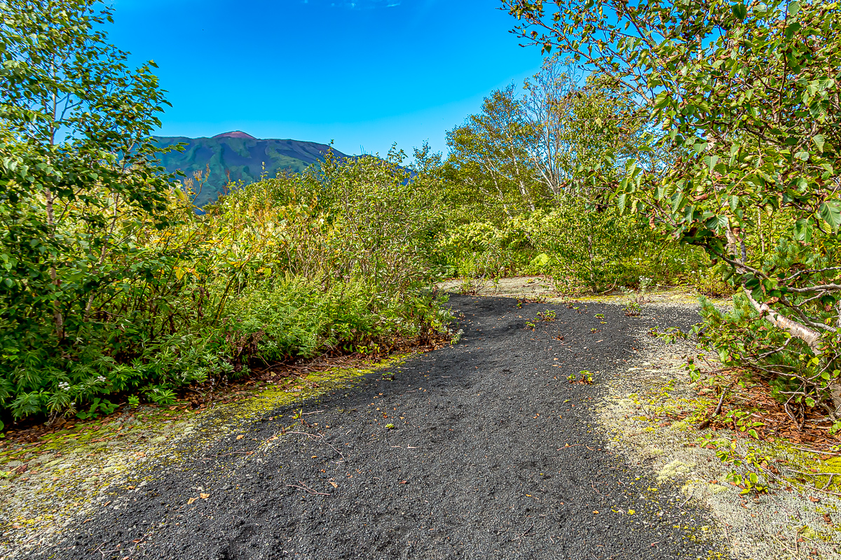 Сахалин, Итуруп, Шикотан и Кунашир с вулканом Тятя. Путешествие на другую планету (201/271)