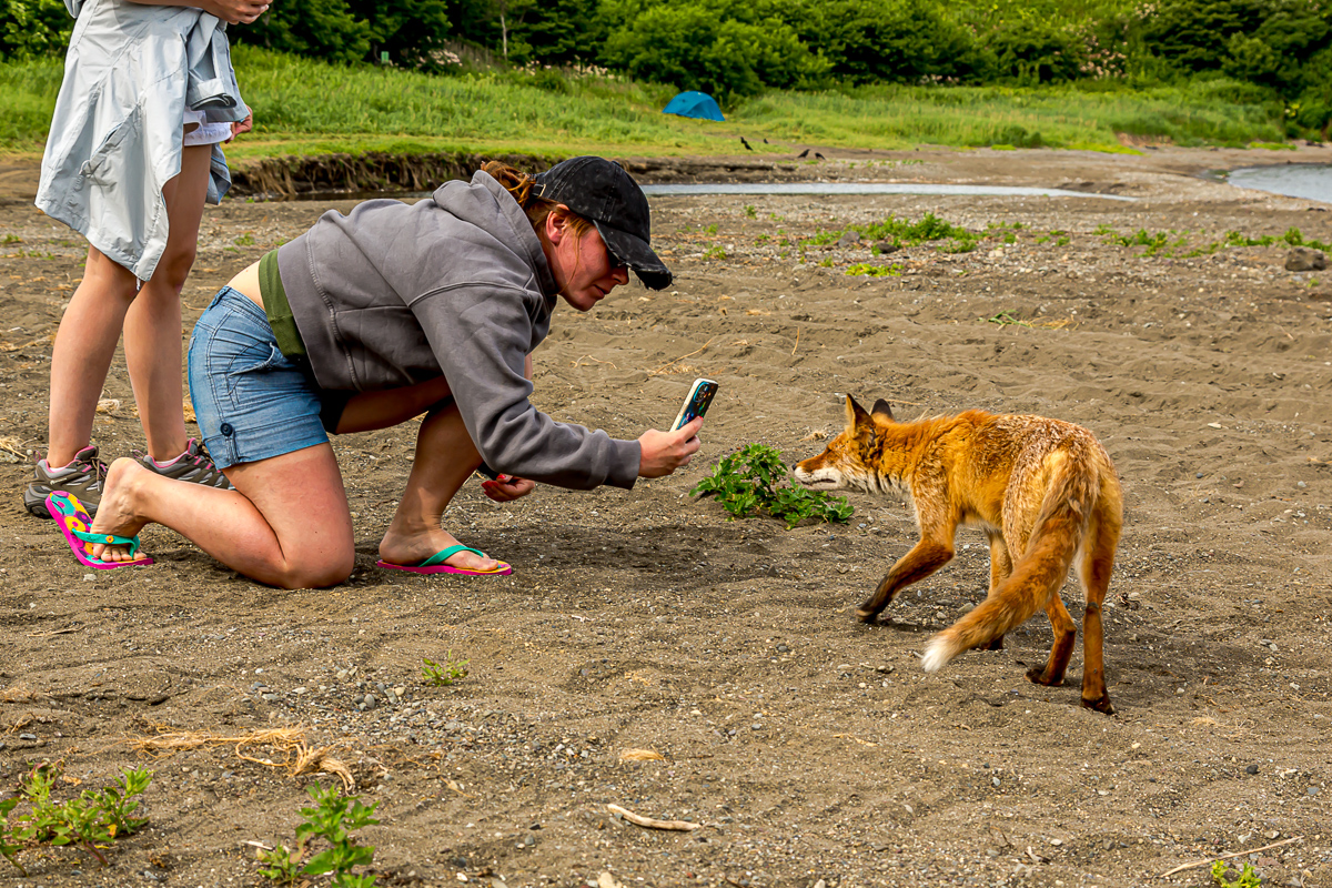Весь Шикотан. Путешествие на другую планету (80/140)