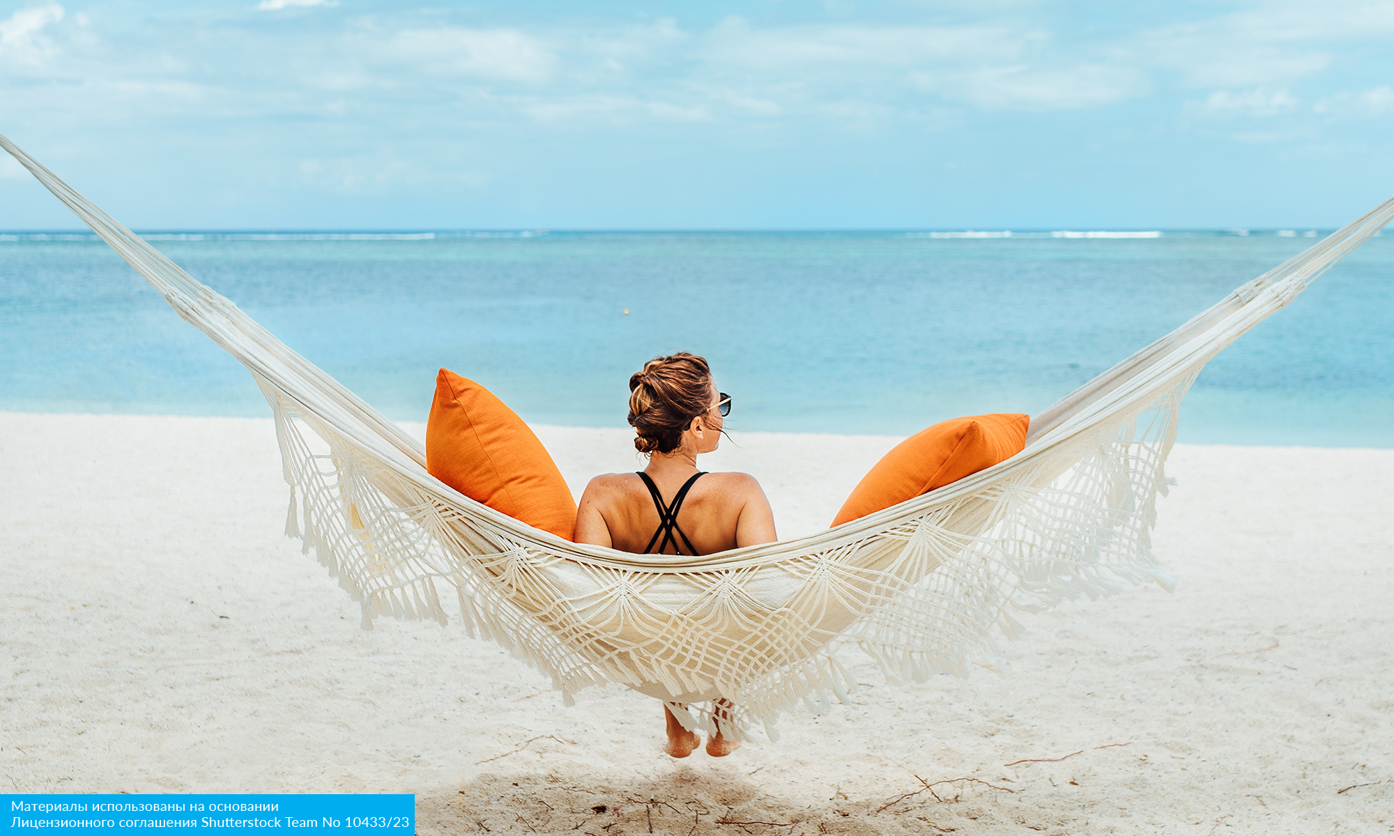 Карнавал в Бразилии 2026 (15/23)