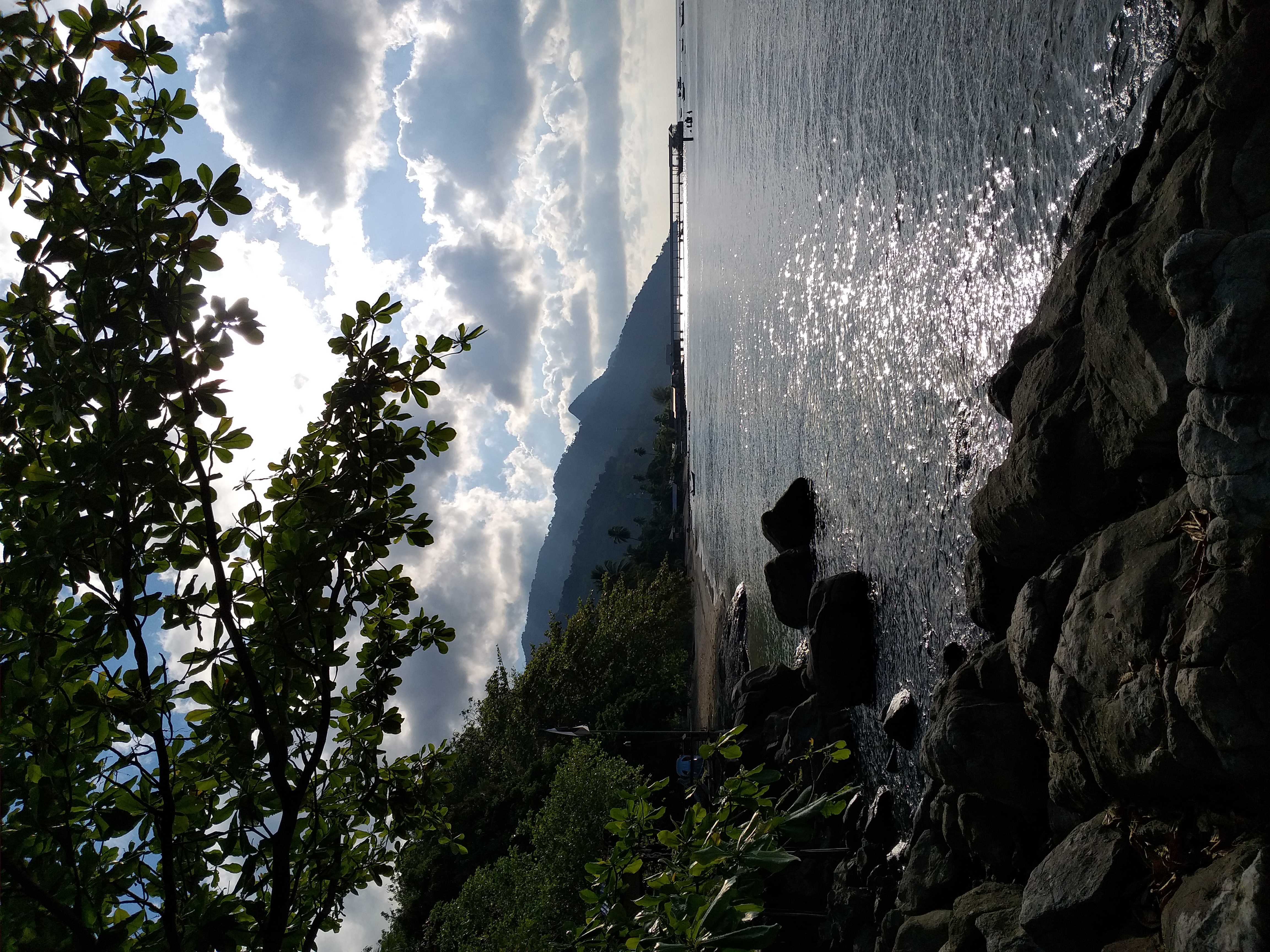 Трекинг В дебрях Малайзии (3/53)