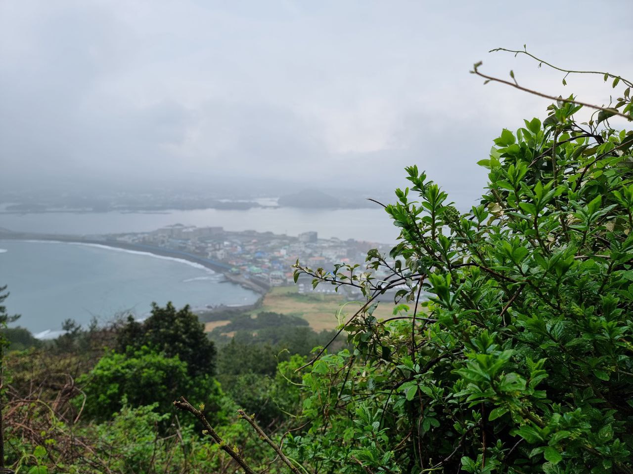 Южная Корея на майские. Путешествие во время цветения роз и азалий (28/33)