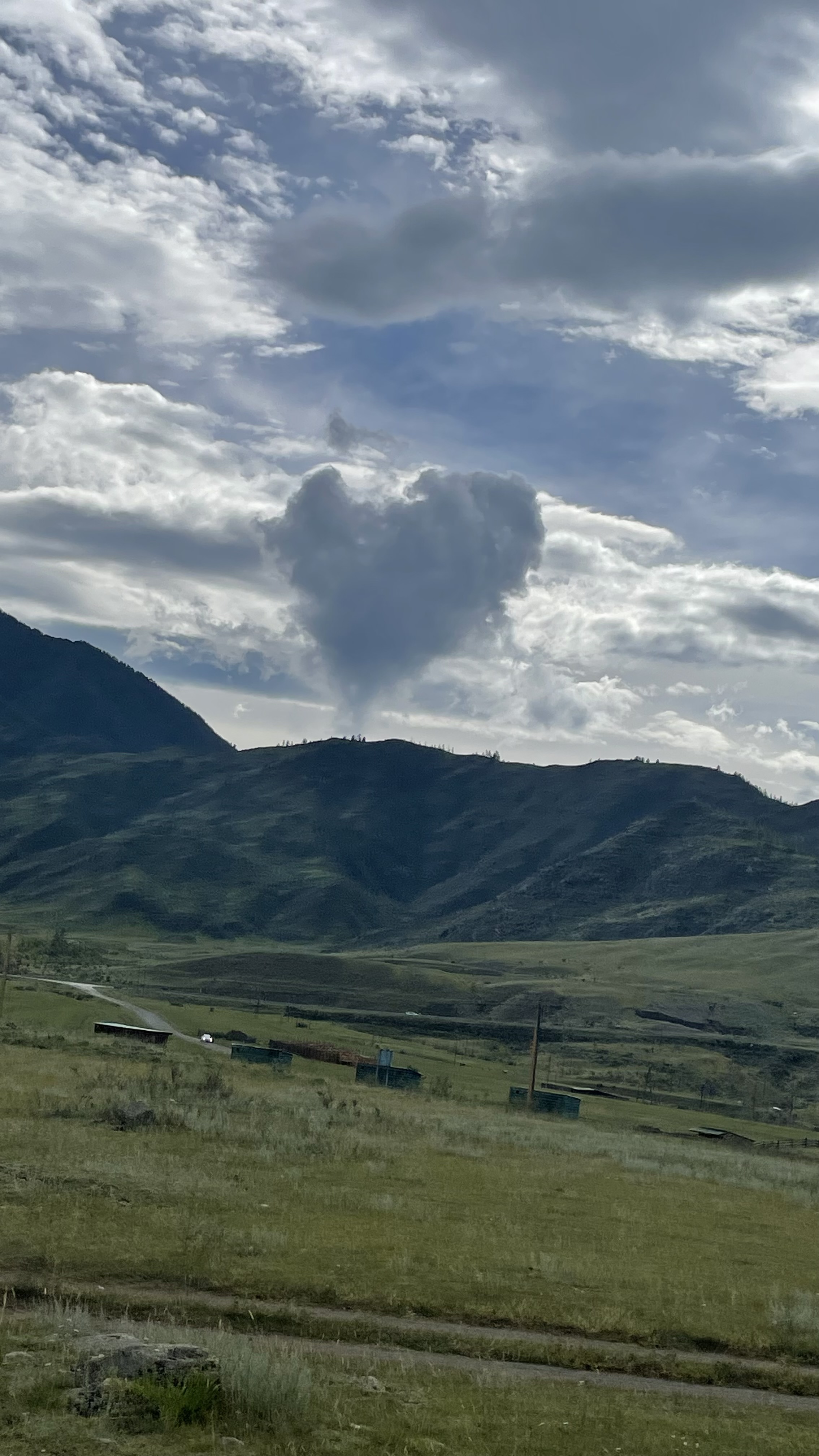 По следам алтая (5/42)