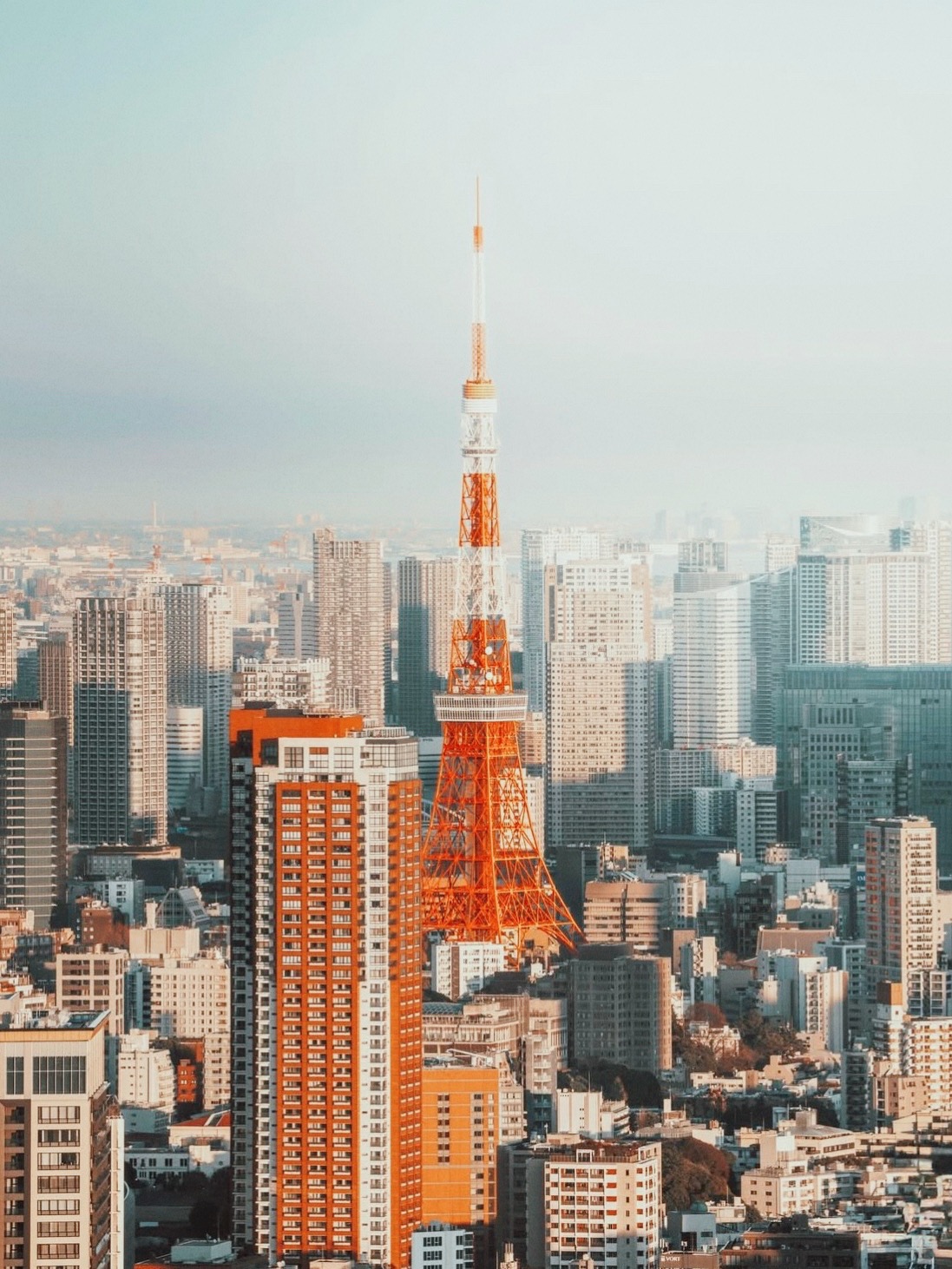 Япония. В Поисках Дзена