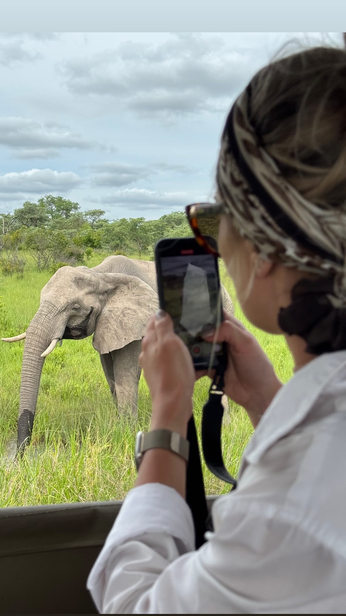 Киты в Юар - продуманный тур с авиабилетами без хаоса и рисков (33/42)