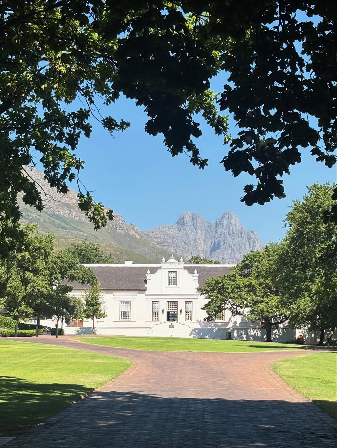 Киты в Юар - продуманный тур с авиабилетами без хаоса и рисков (25/42)