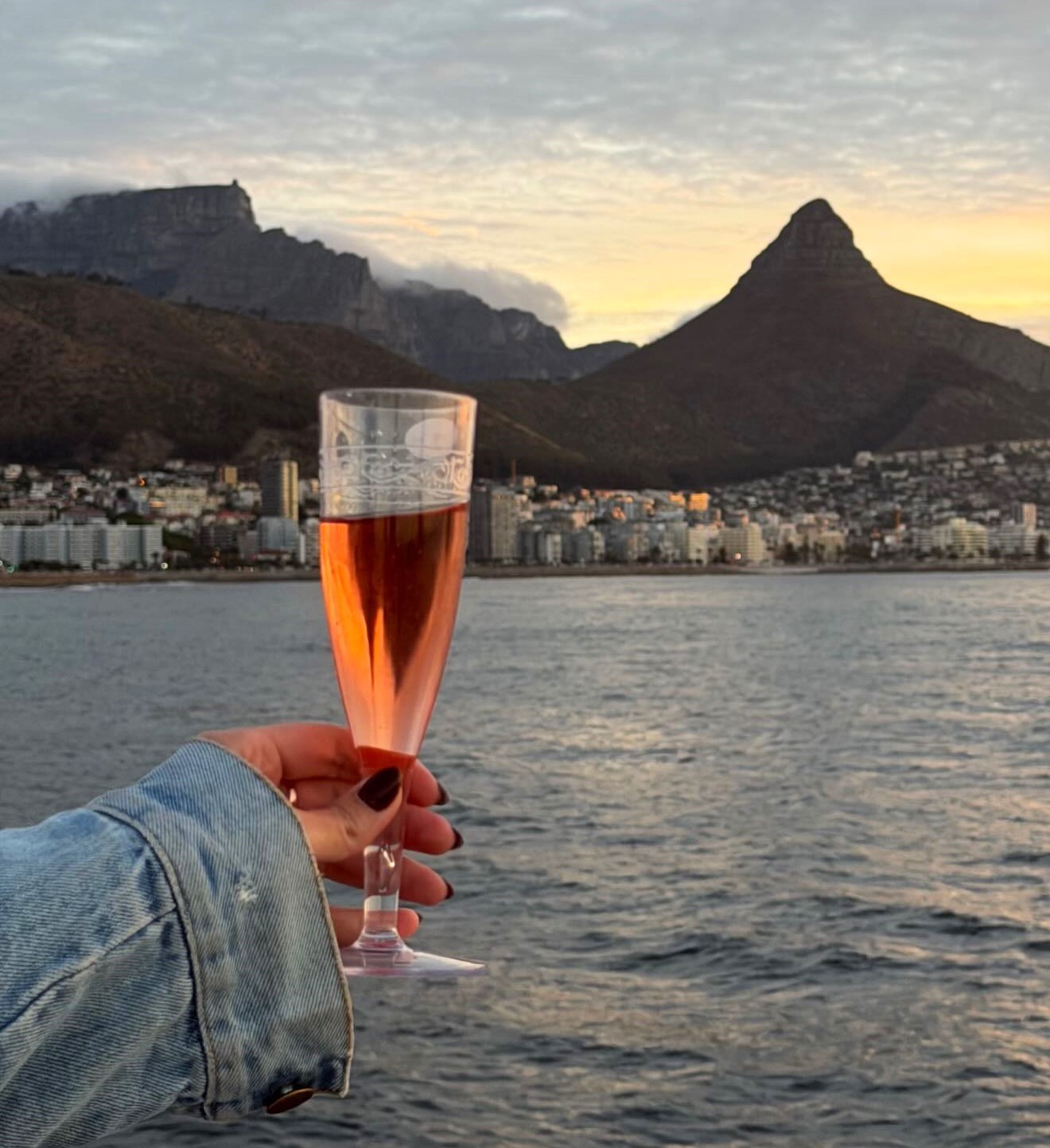 Киты в Юар - продуманный тур с авиабилетами без хаоса и рисков (42/42)