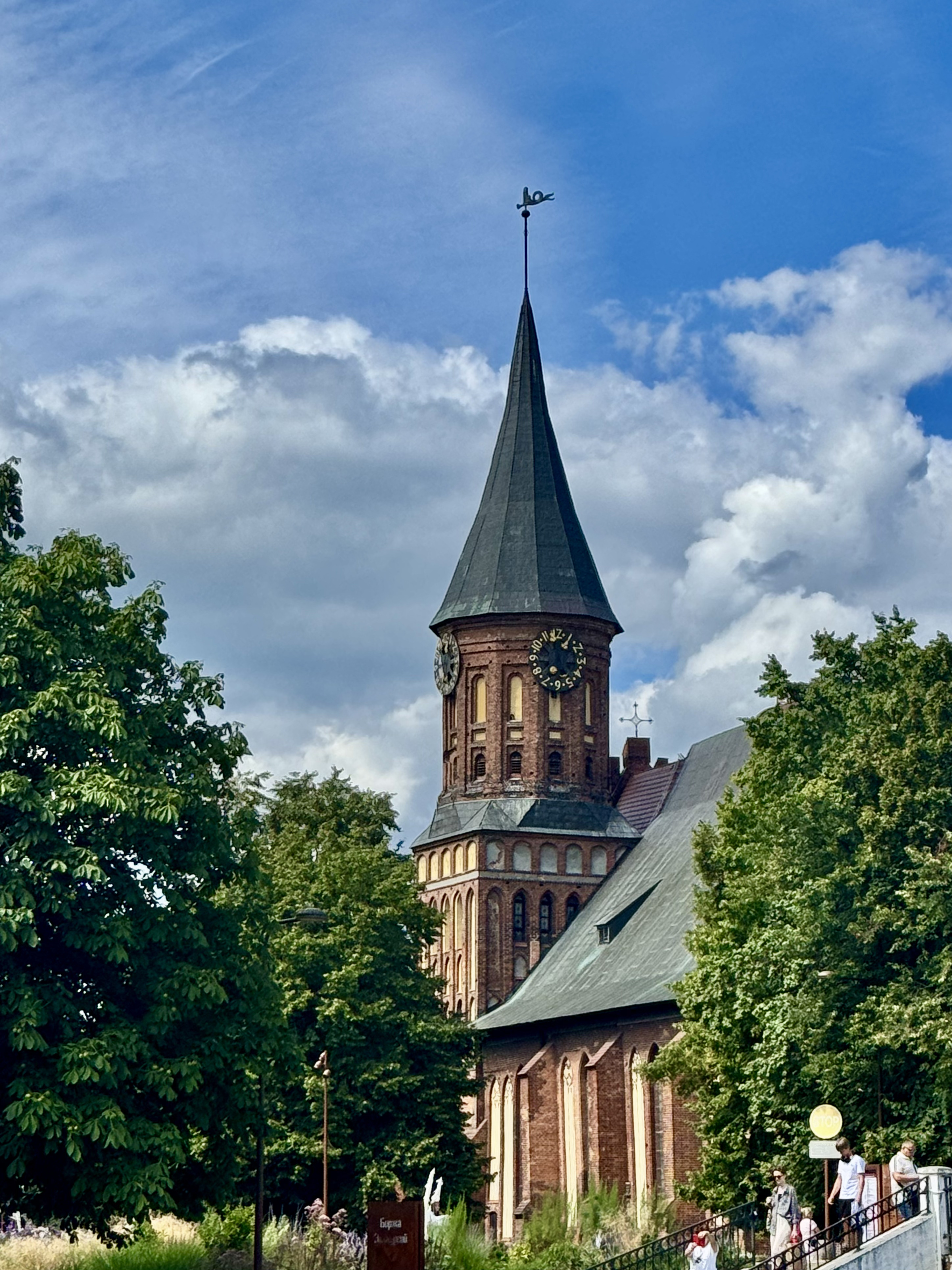 Релакс-тур в Калининград