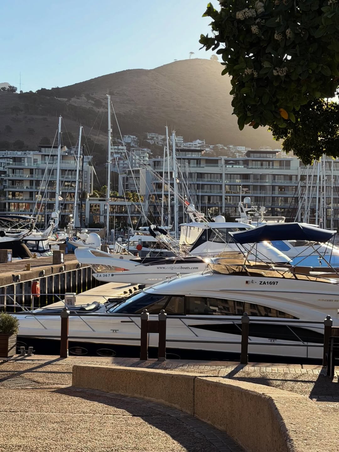 Киты в Юар - продуманный тур с авиабилетами без хаоса и рисков (20/42)