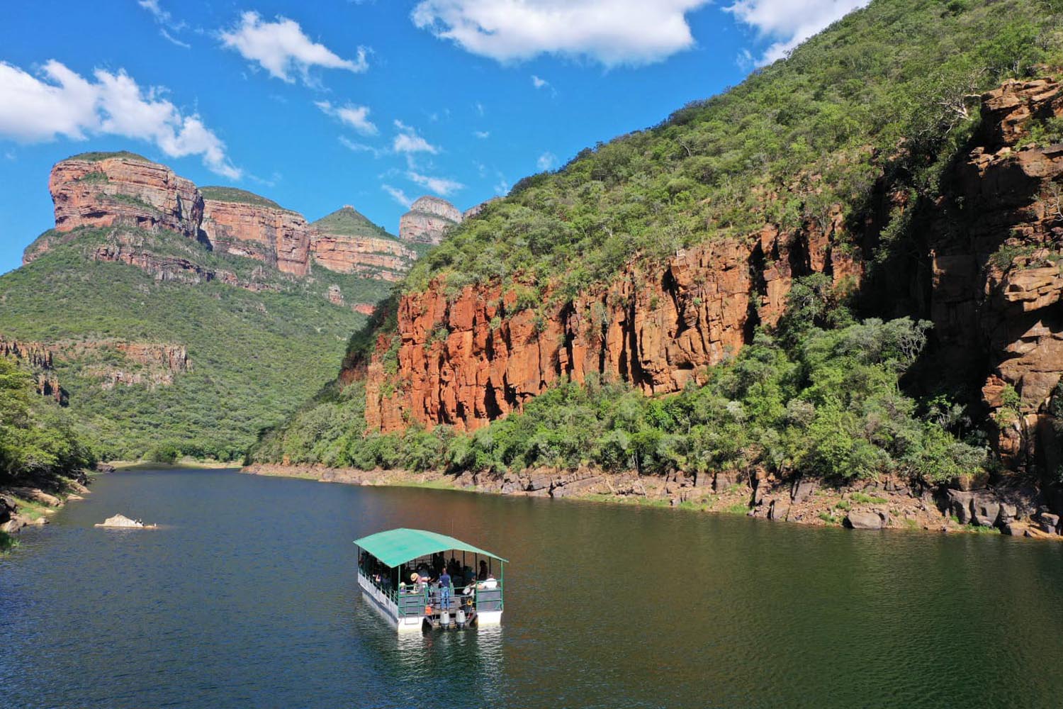 Киты в Юар - продуманный тур с авиабилетами без хаоса и рисков (38/42)