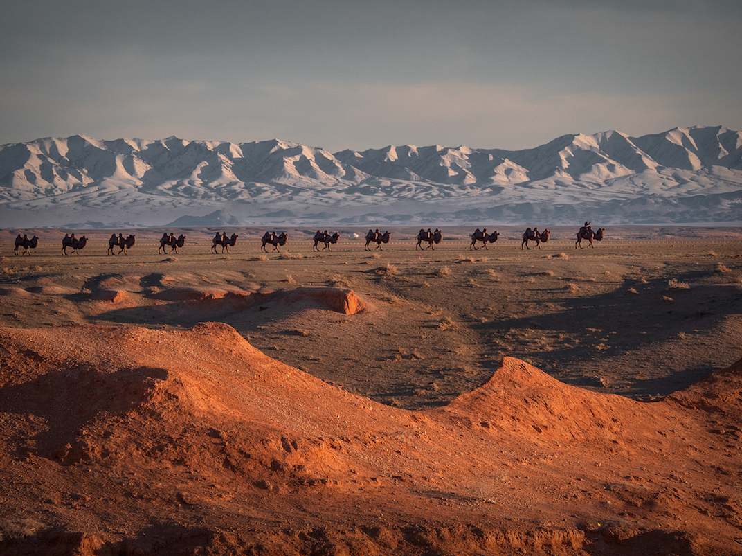 Экспедиция в Монголию