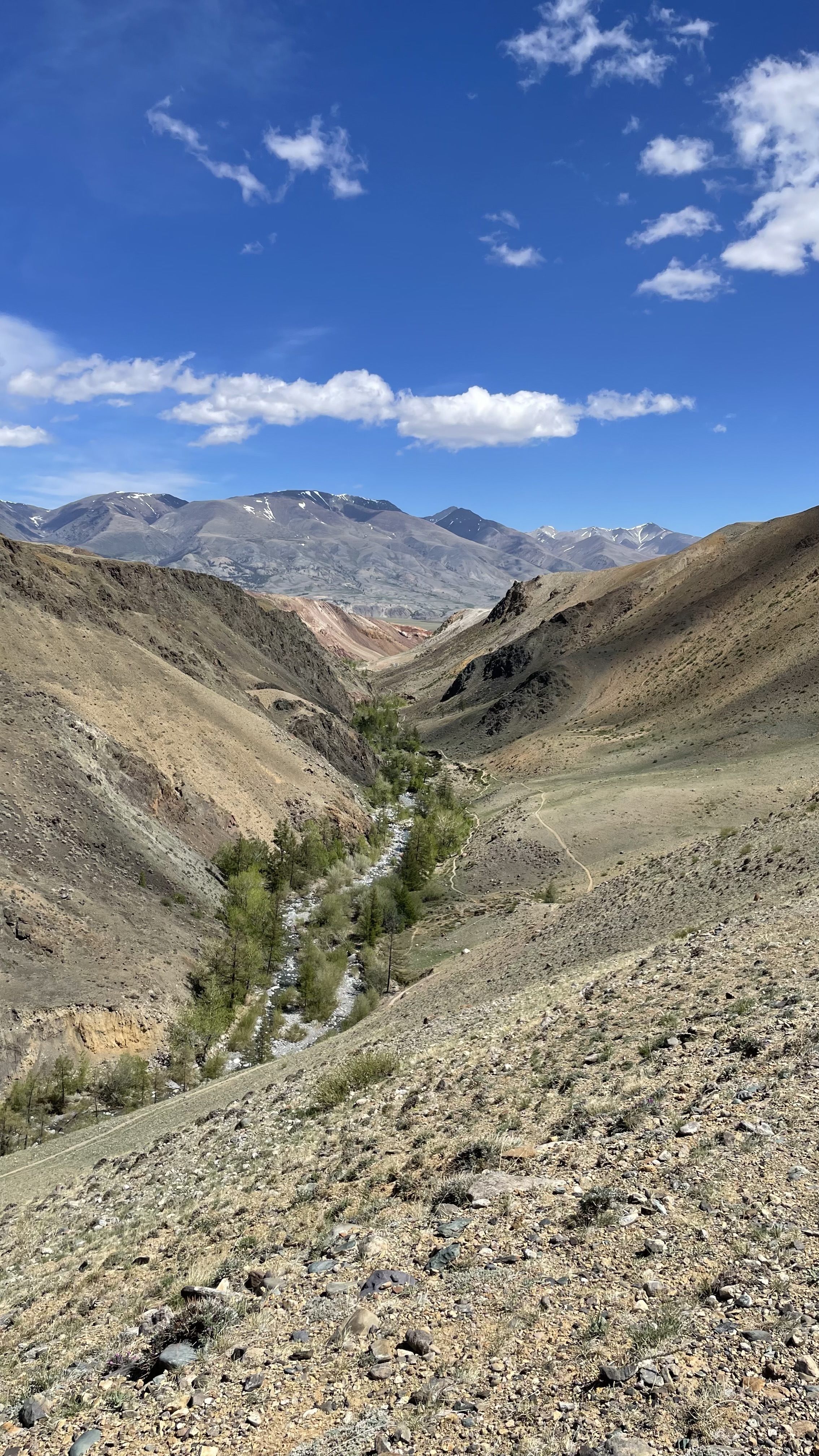 По следам алтая (20/42)