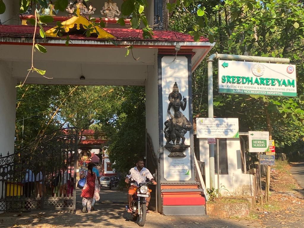 Панчакарма - ретрит очищения в Индии