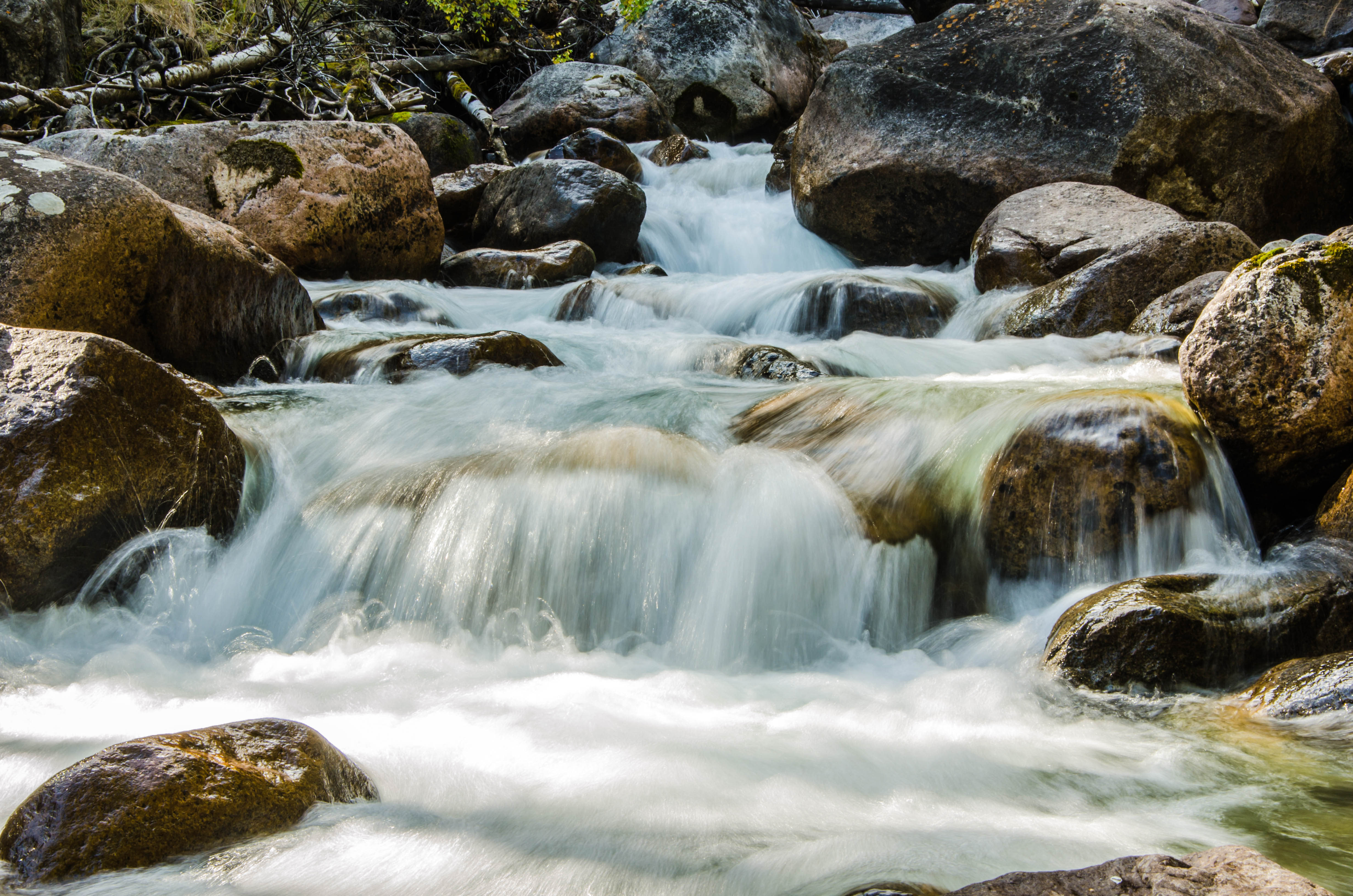 Байкал Баргузинская Долина Цветов Мультитур. (16/58)