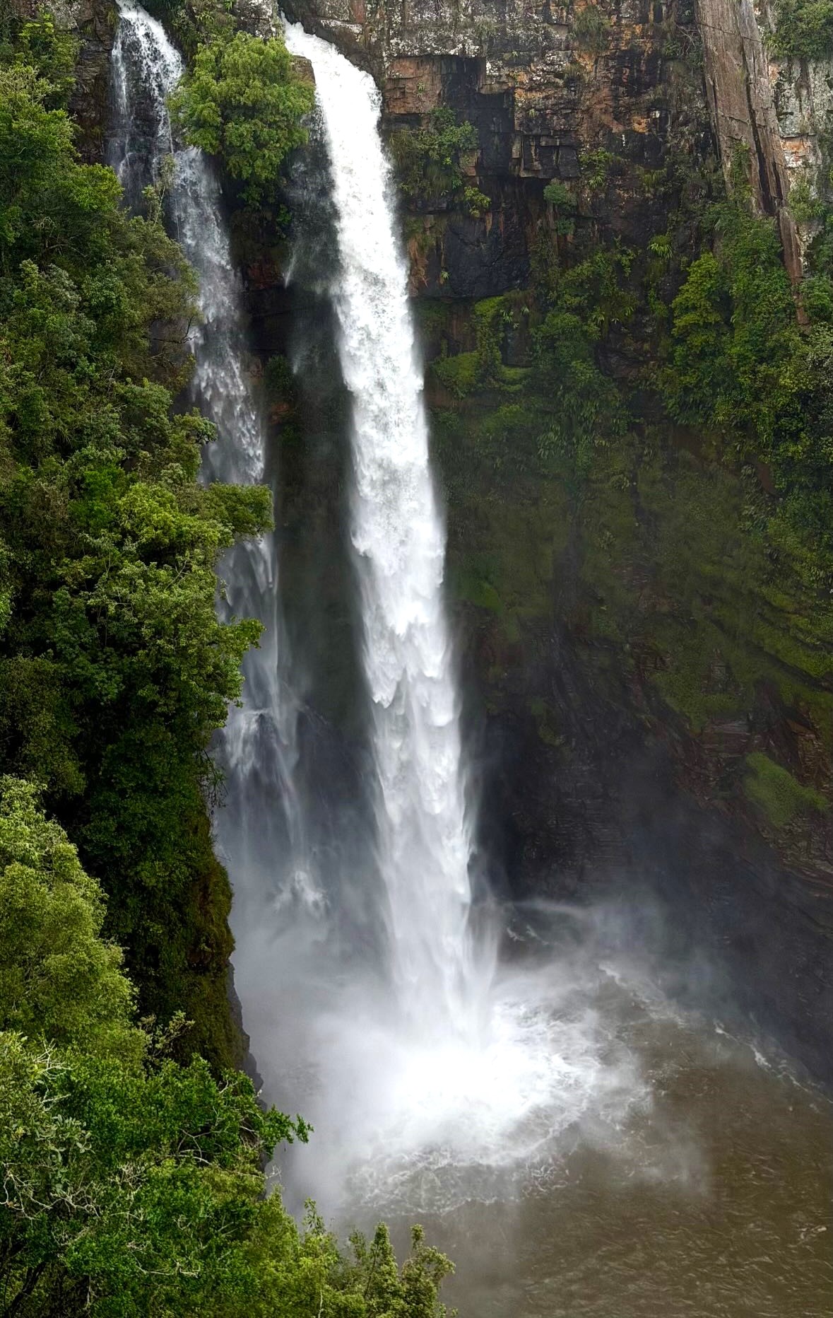Киты в Юар - продуманный тур с авиабилетами без хаоса и рисков (30/42)