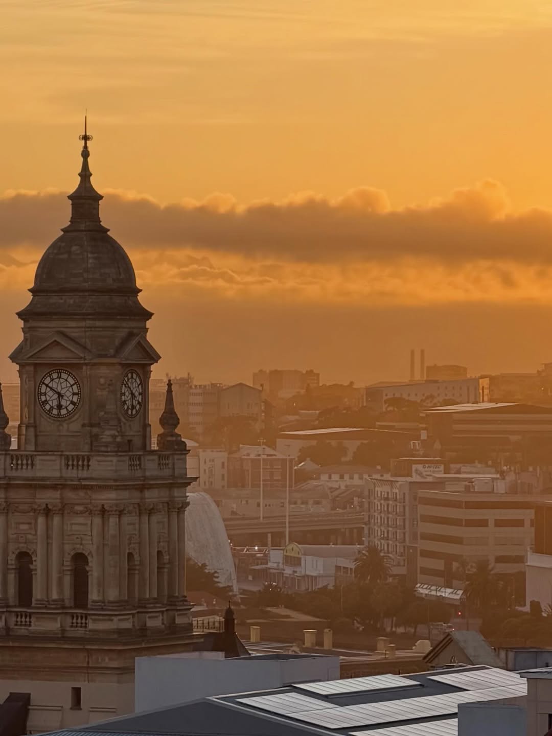 Киты в Юар - продуманный тур с авиабилетами без хаоса и рисков (19/42)