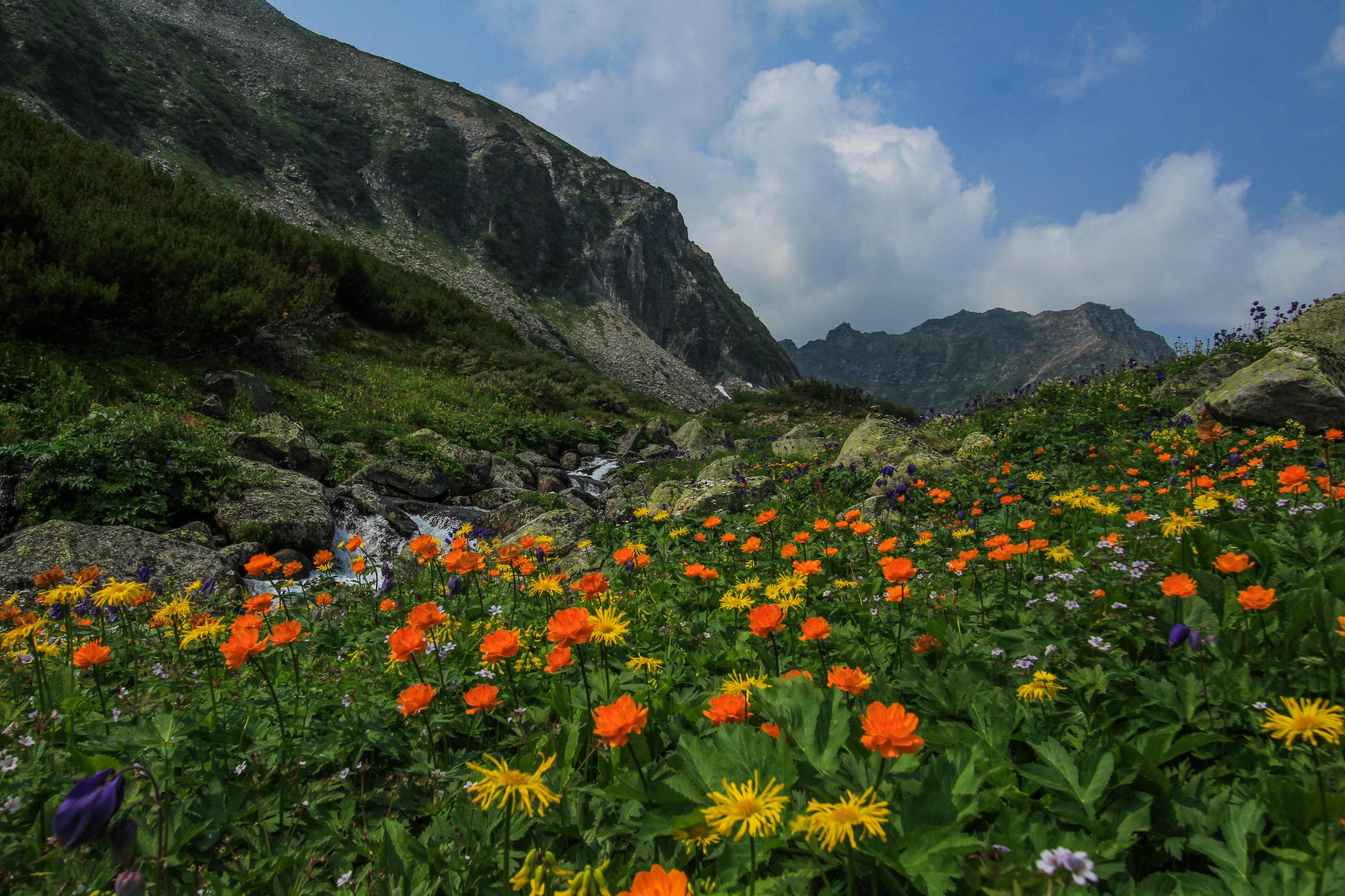 Байкал Баргузинская Долина Цветов Мультитур. (10/58)