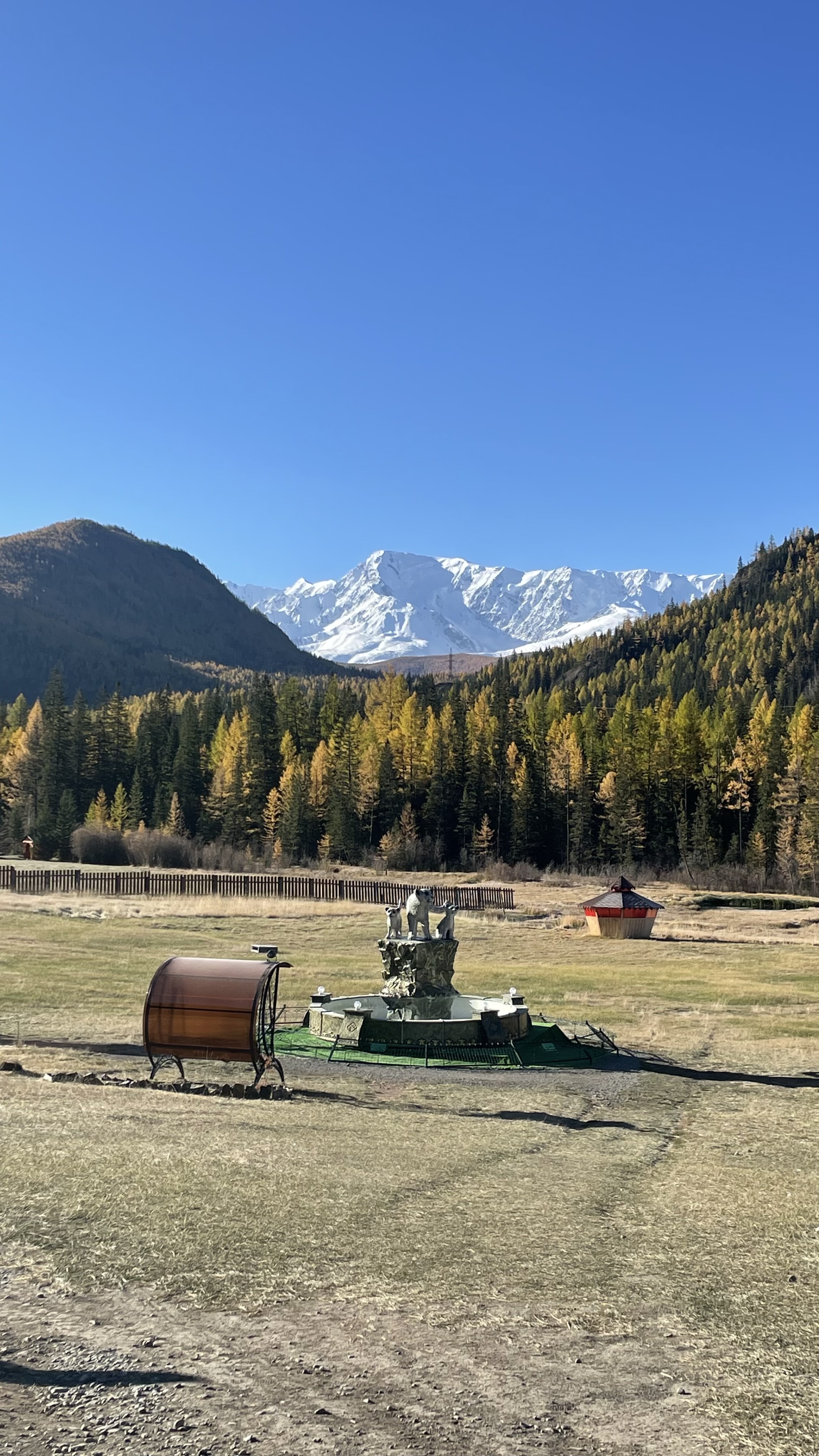 По следам алтая (13/42)