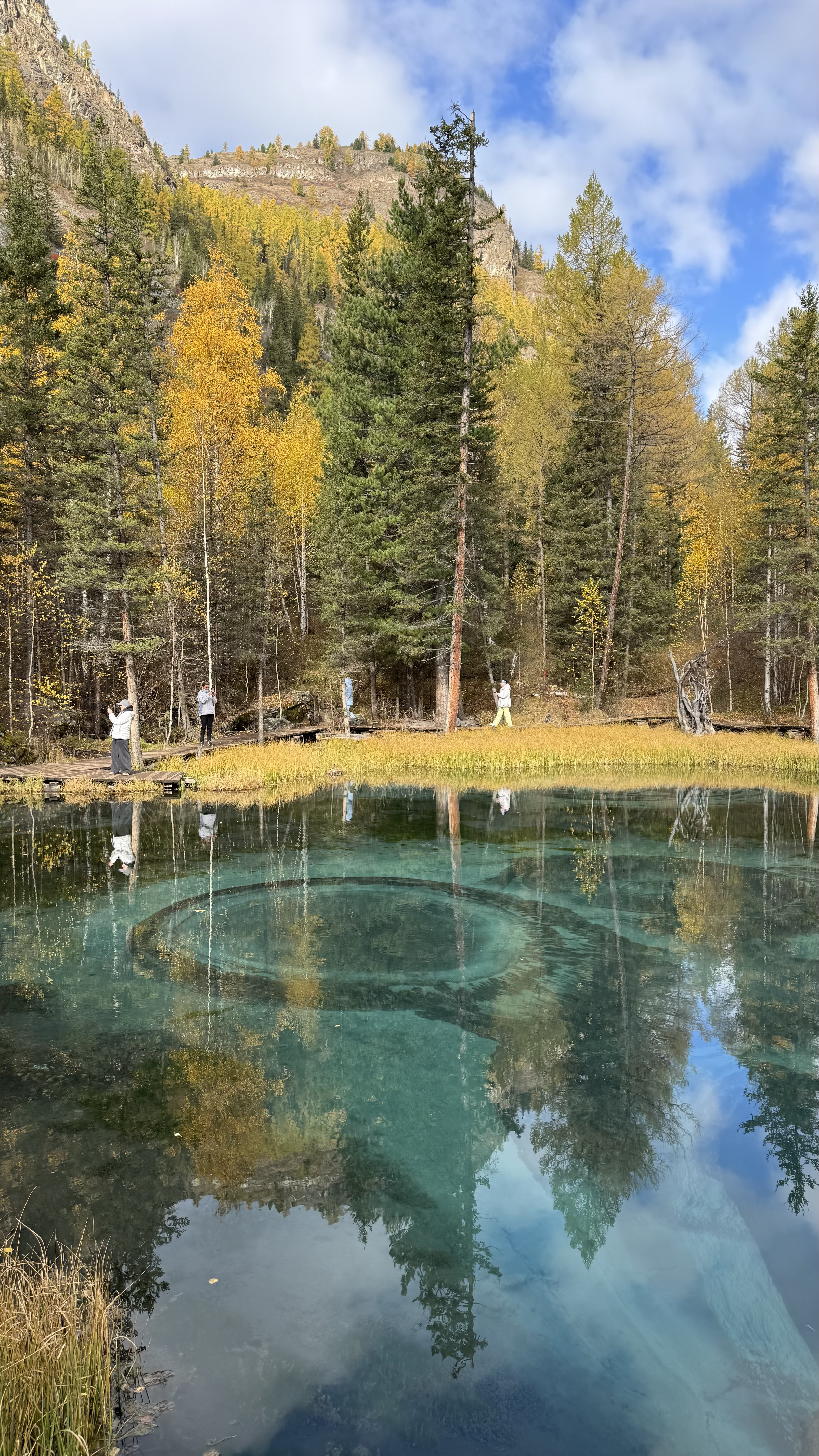 По следам алтая (23/42)