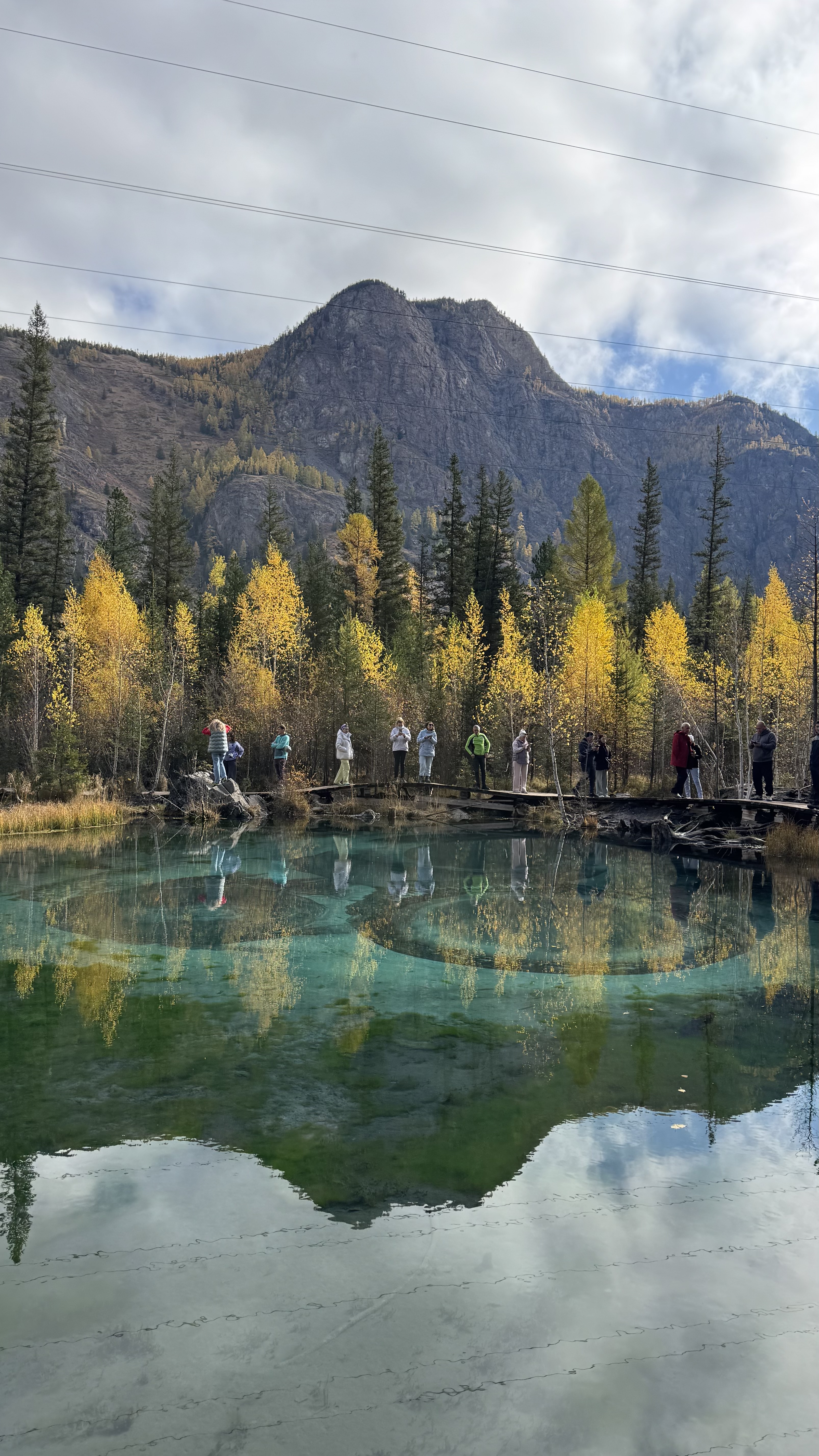 По следам алтая (10/42)