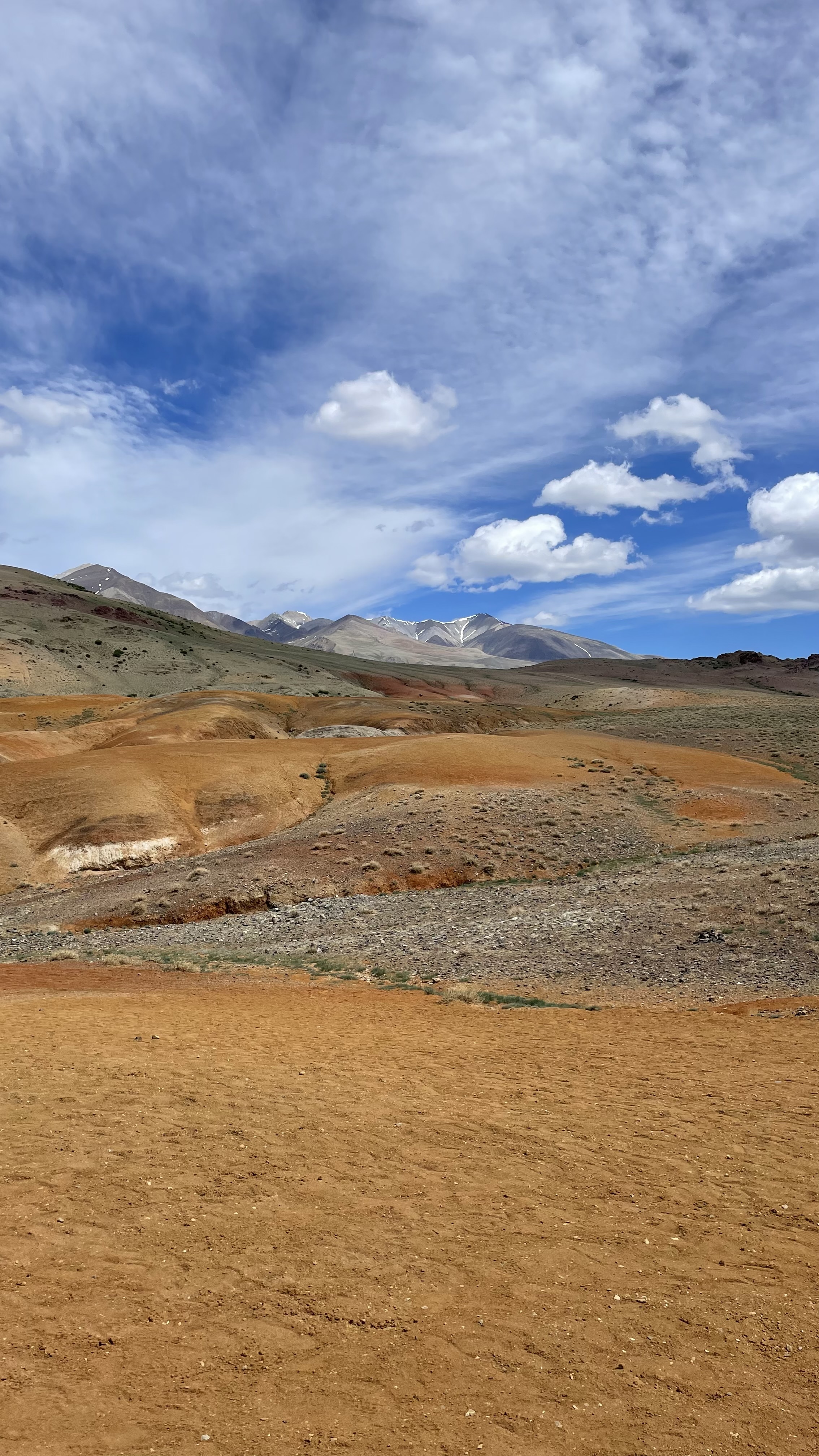 По следам алтая (27/42)