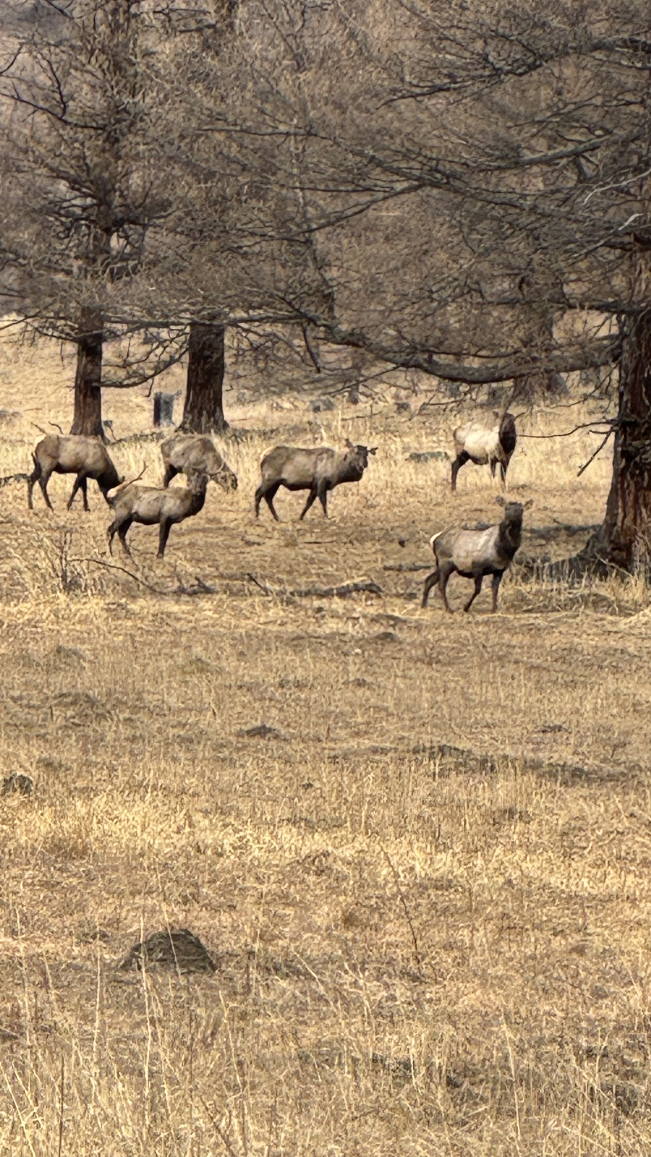 По следам алтая (15/42)