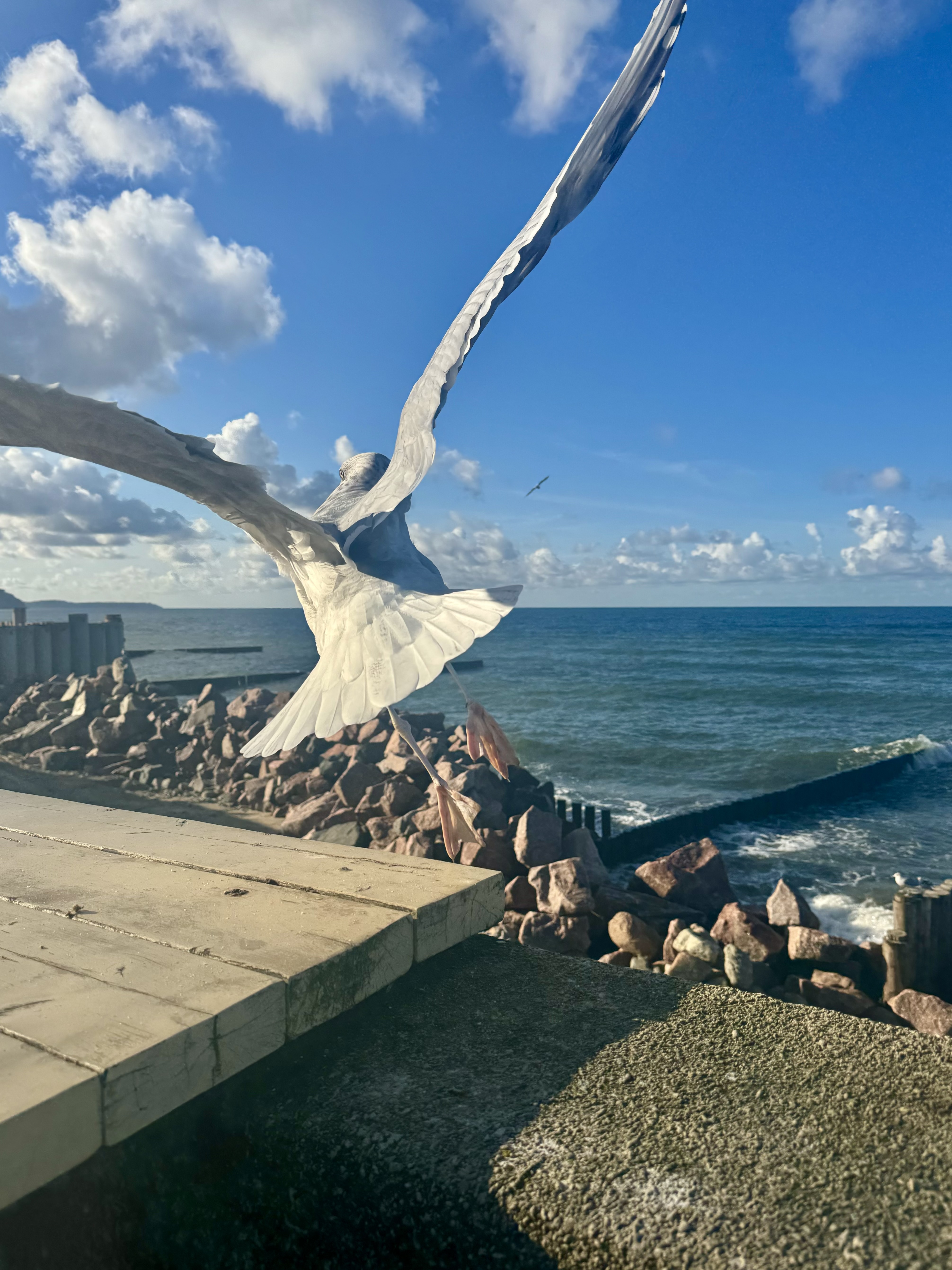 Калининград: День Победы на самом западе страны (4/15)