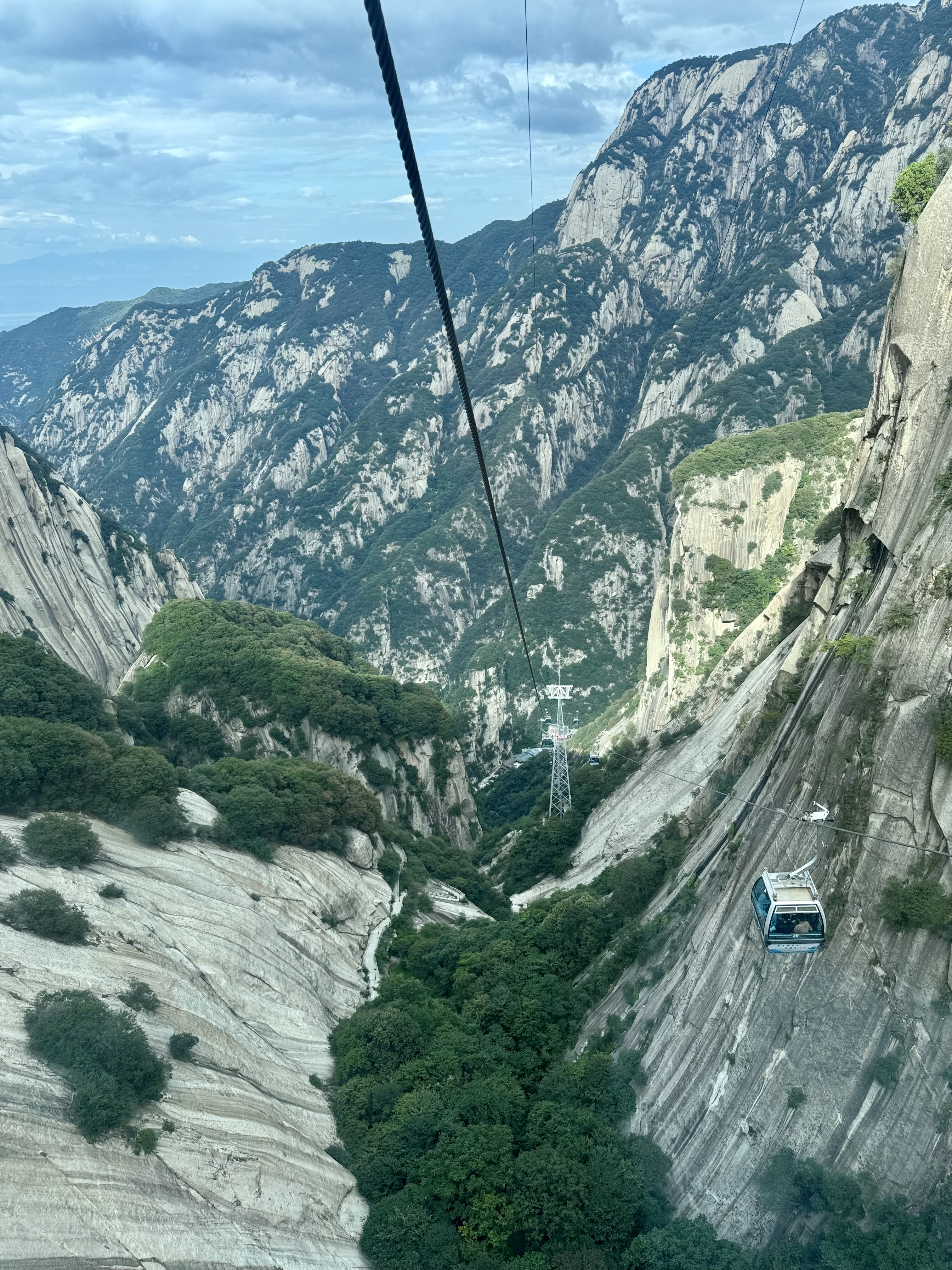 Путешествие по дикой природе Китая