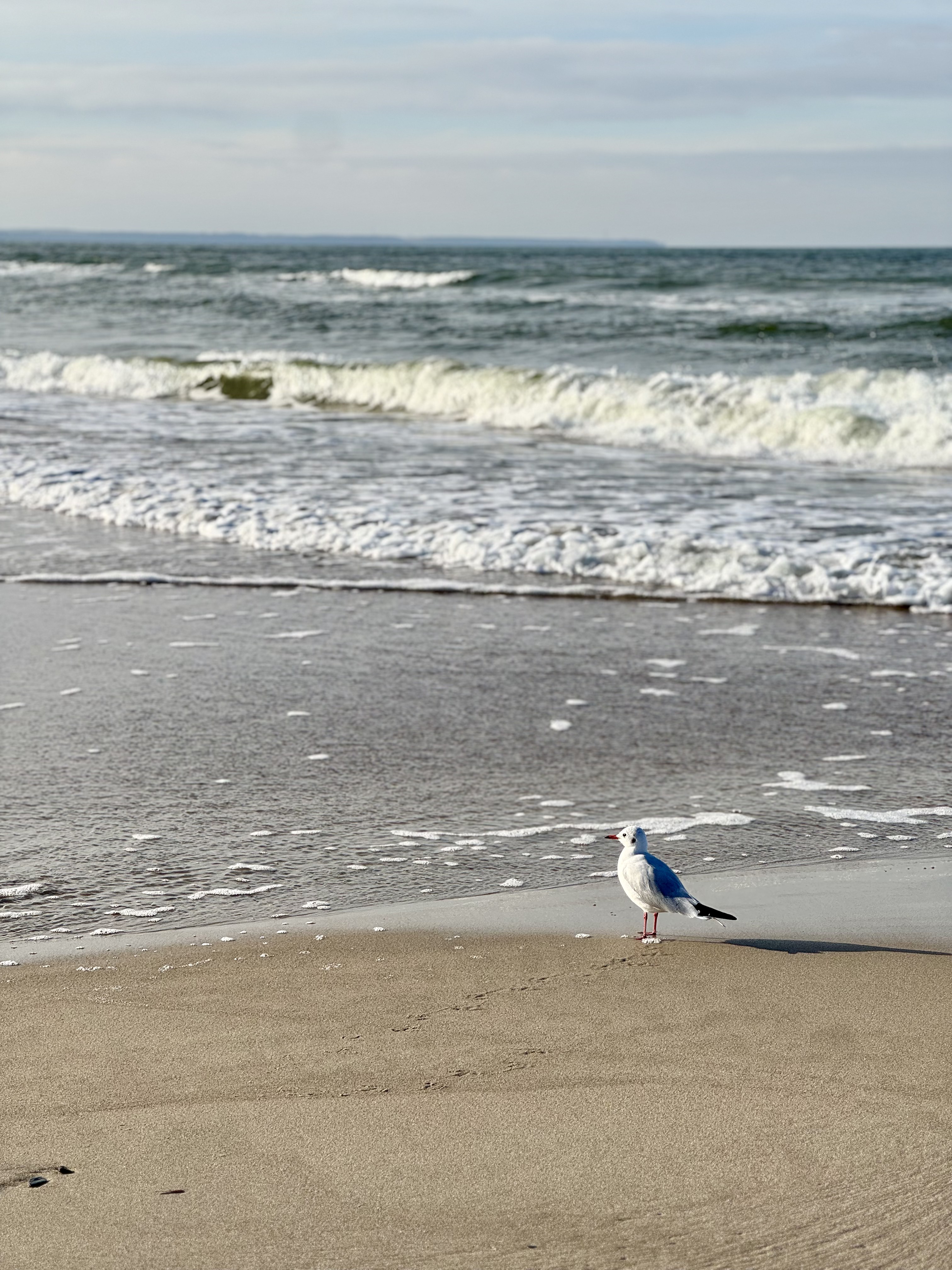 Калининград: День Победы на самом западе страны (3/15)