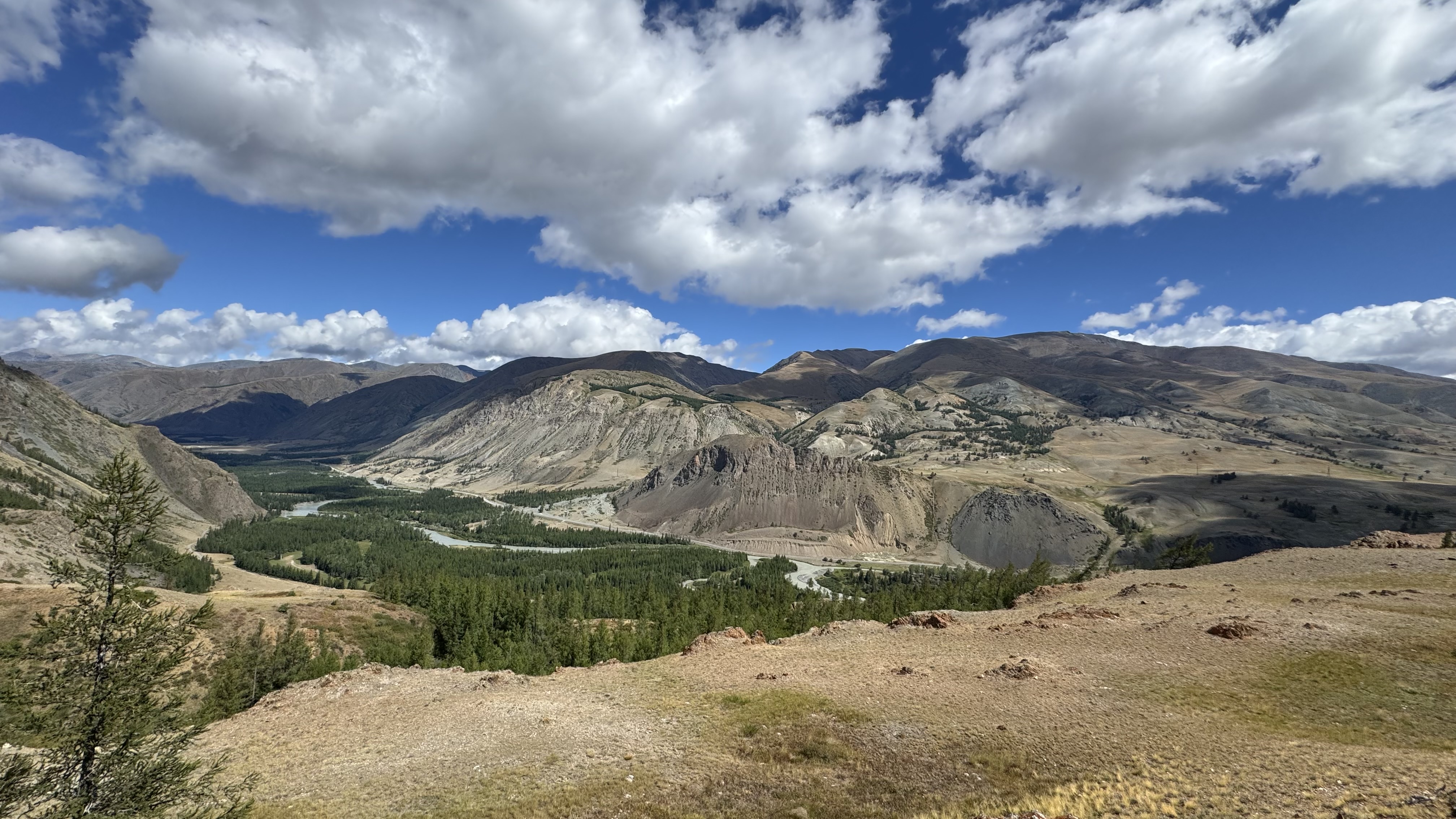 По следам алтая (14/42)